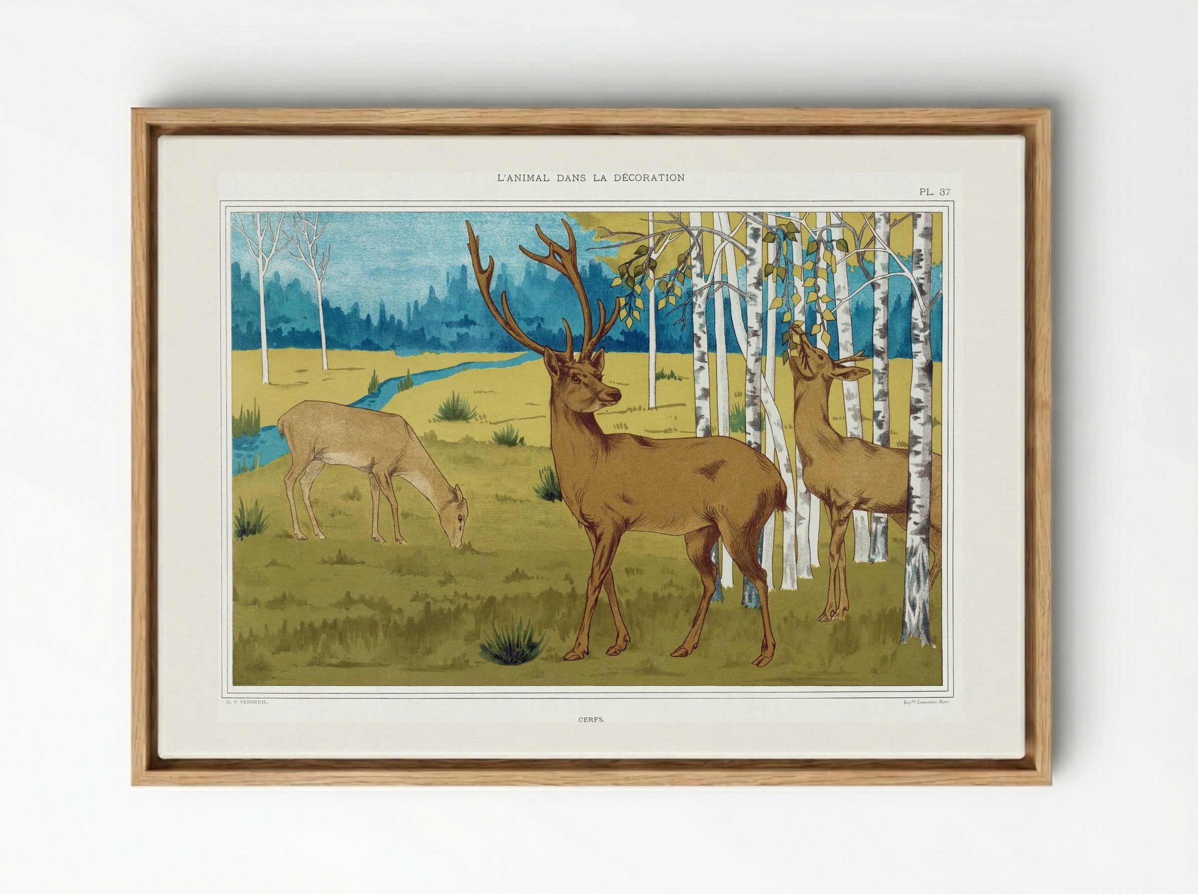 Cerfs (Deer in a Landscape) - Maurice Pillard Verneuil - Framed Canvas Wood