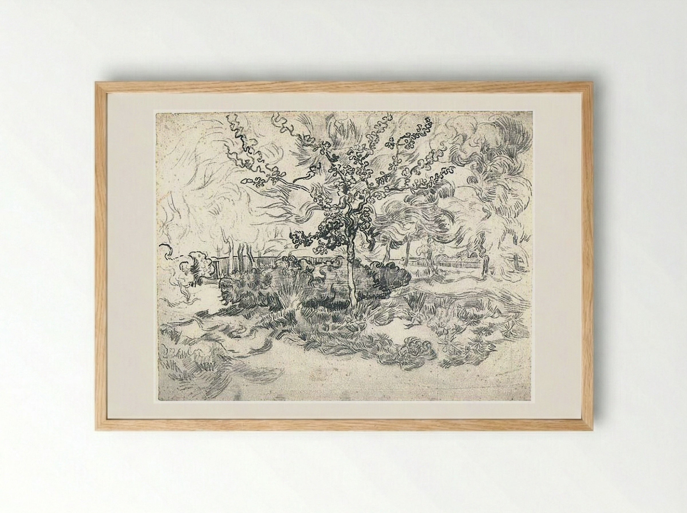 The Garden of the Asylum - Vincent van Gogh - Framed Print Wood