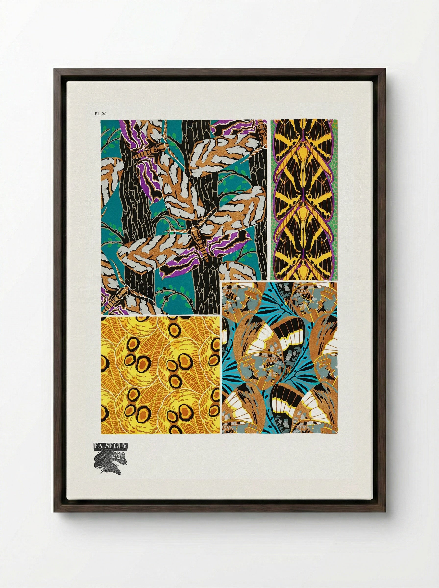 Butterflies Pattern Plate (from Papillons) - Émile-Allain Séguy - Framed Canvas Dark Wood