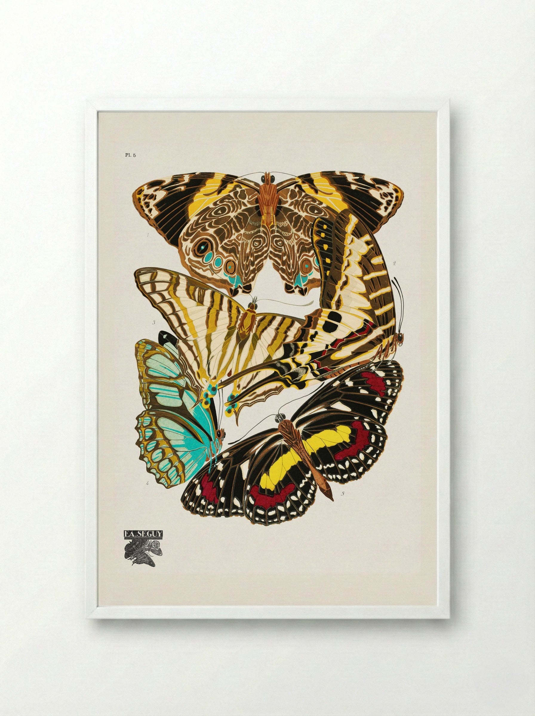 Butterflies, Plate 5 - Émile-Allain Séguy - Framed Print White