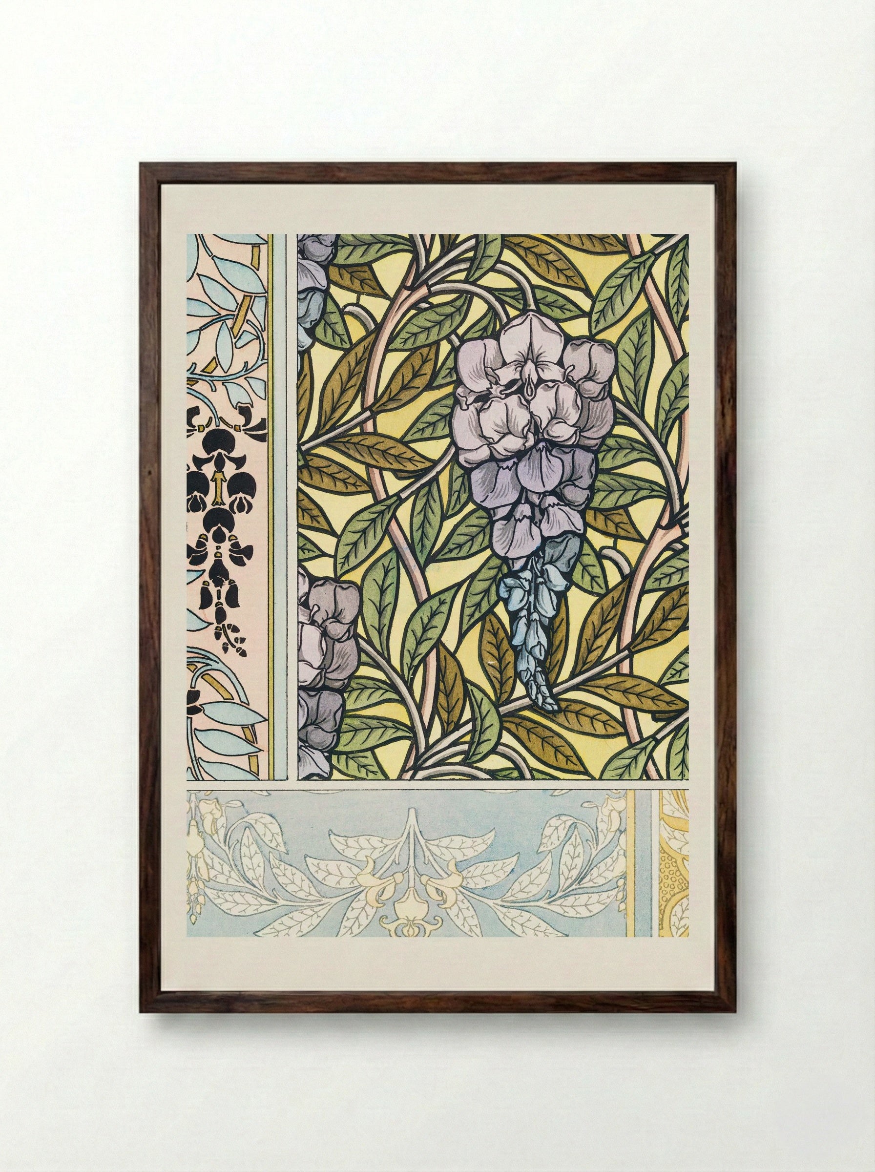 Glycine (Wisteria) from La Plante et ses Applications ornementales - Maurice Pillard Verneuil - Framed Print Dark Wood