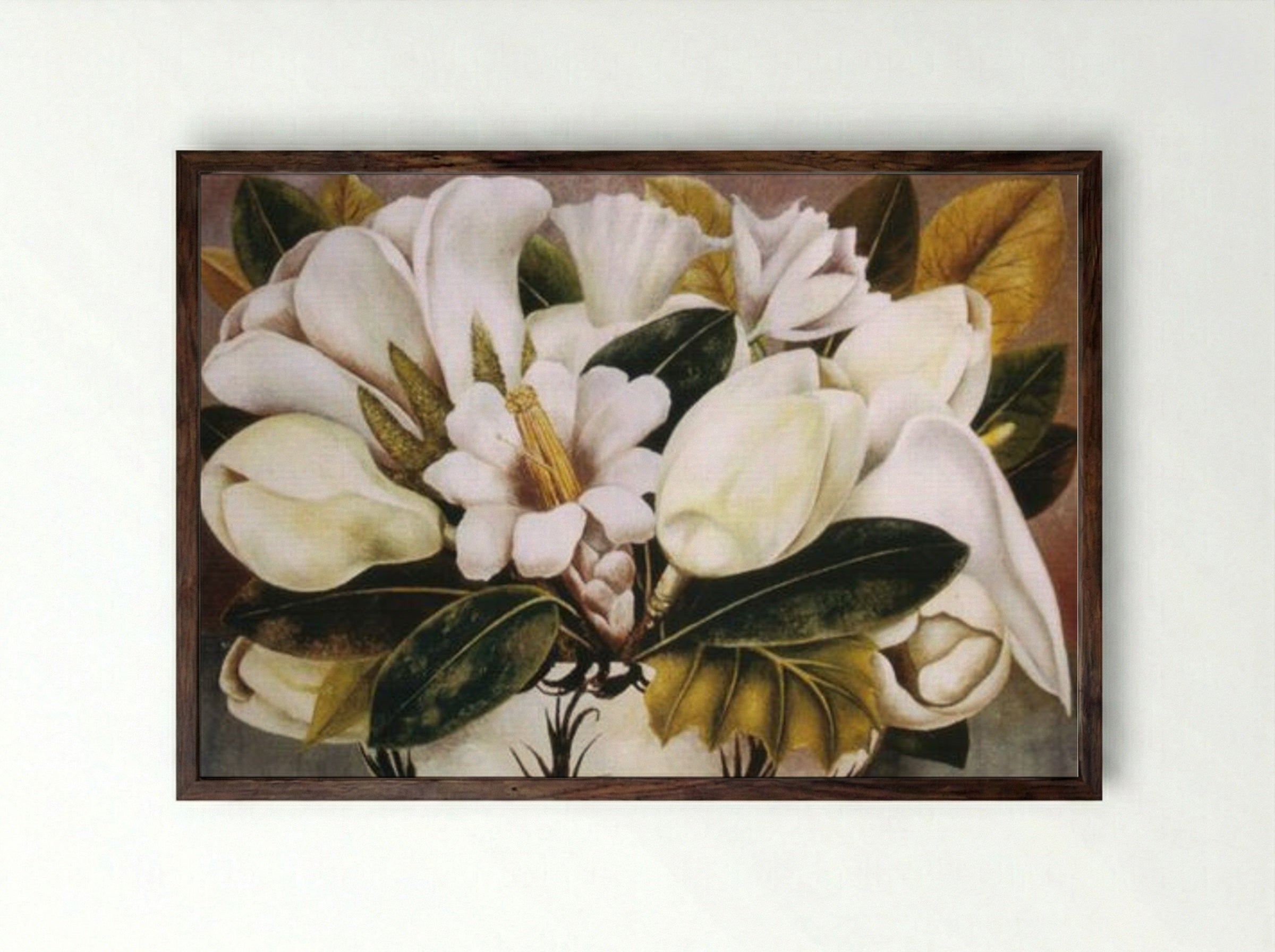 Magnolias - Vida Kullberg - Framed Print Dark Wood