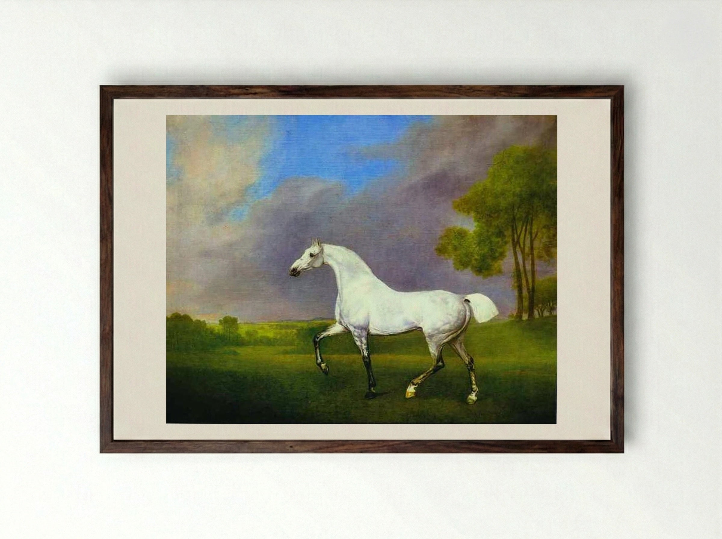 A Grey Horse - George Stubbs - Framed Print Dark Wood