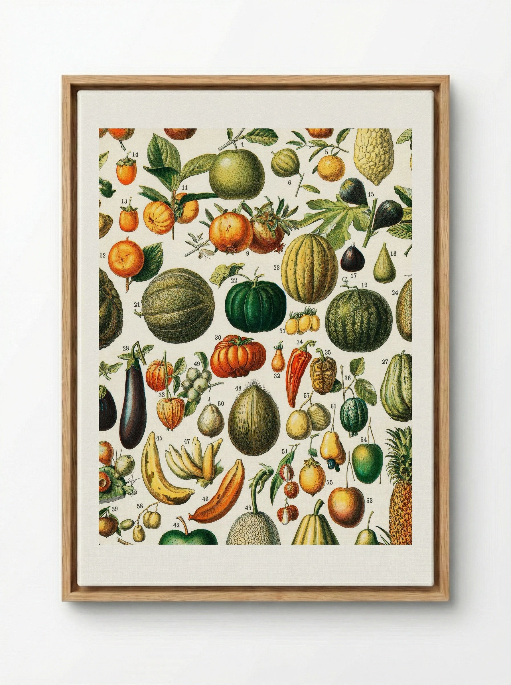 Fruits (from Nouveau Larousse Illustré) - Adolphe Millot - Framed Canvas Wood
