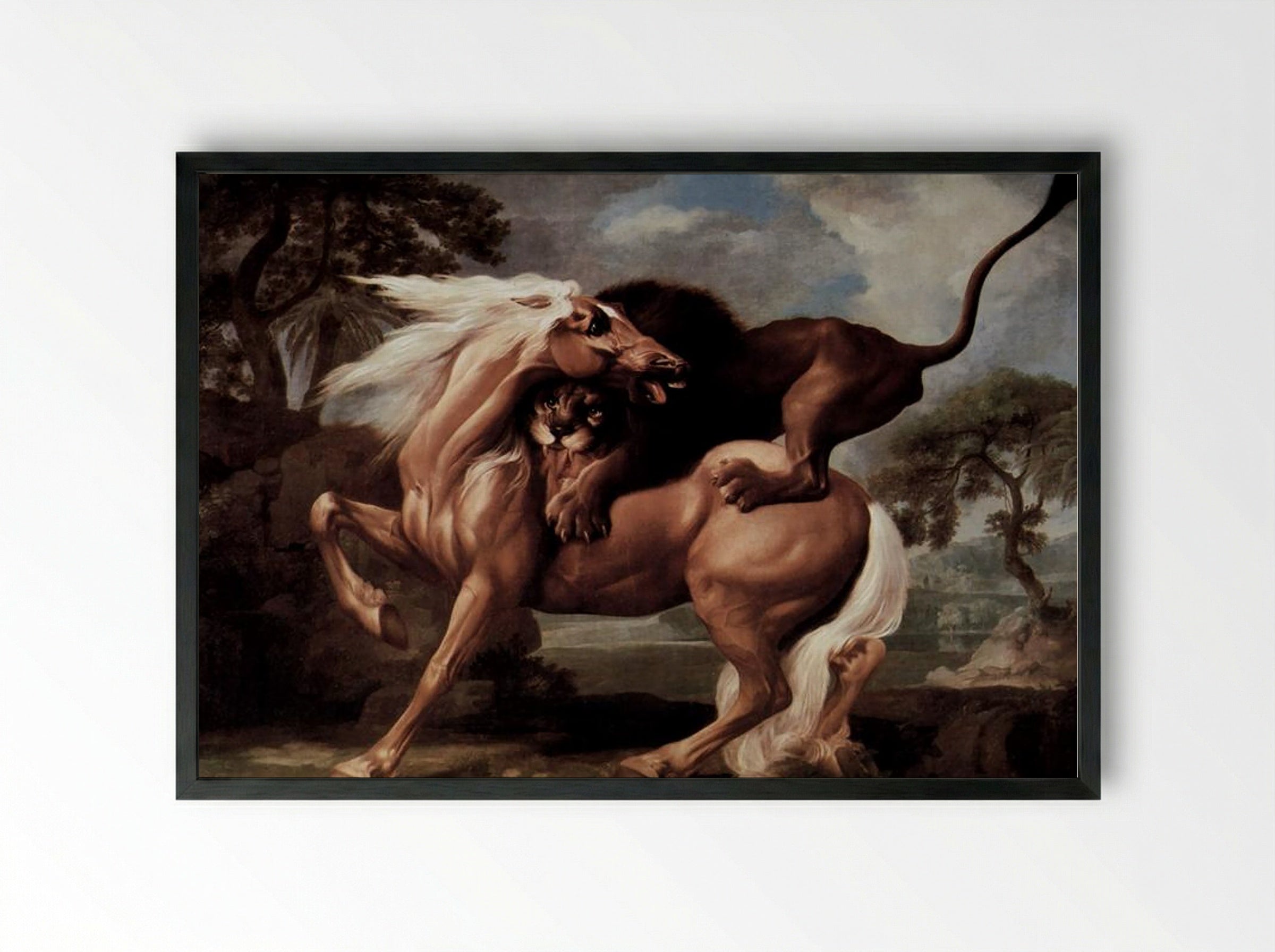 Horse Attacked by a Lion - George Stubbs - Framed Print Black
