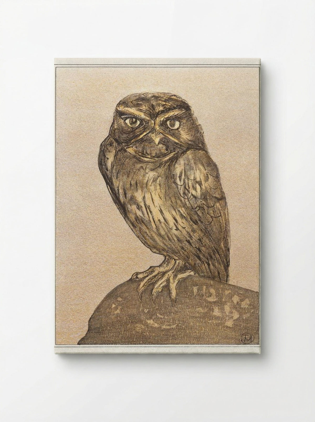 Little Owl on a Rock - Theo van Hoytema - Canvas