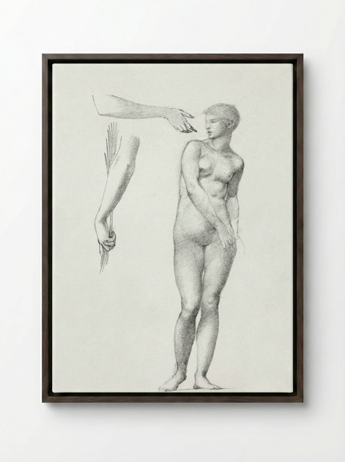 Standing Female Nude and Sketches of Arms - Edward Burne-Jones - Framed Canvas Dark Wood
