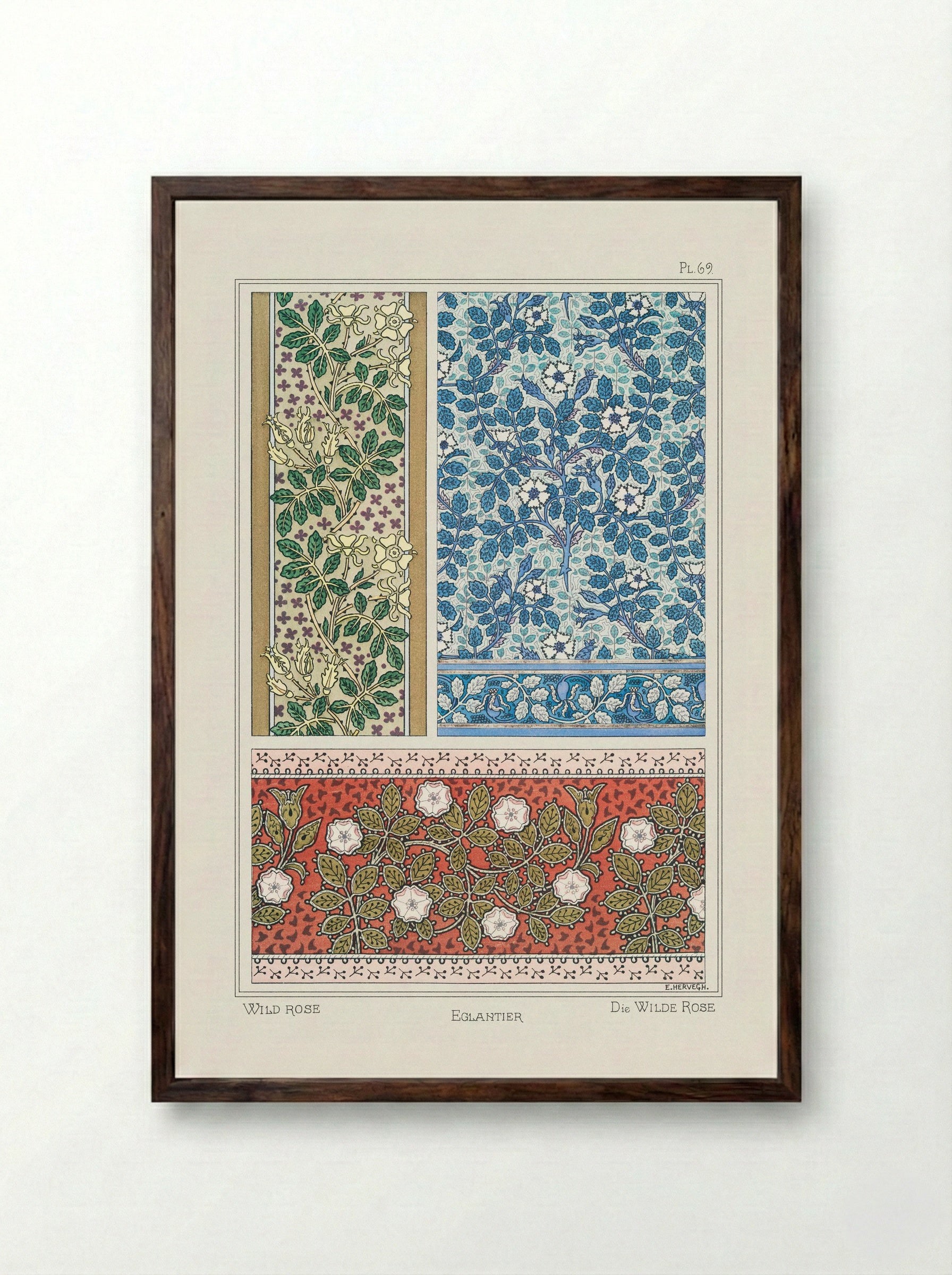 Eglantier (Wild Rose) from La Plante et ses Applications ornementales - Maurice Pillard Verneuil - Framed Print Dark Wood