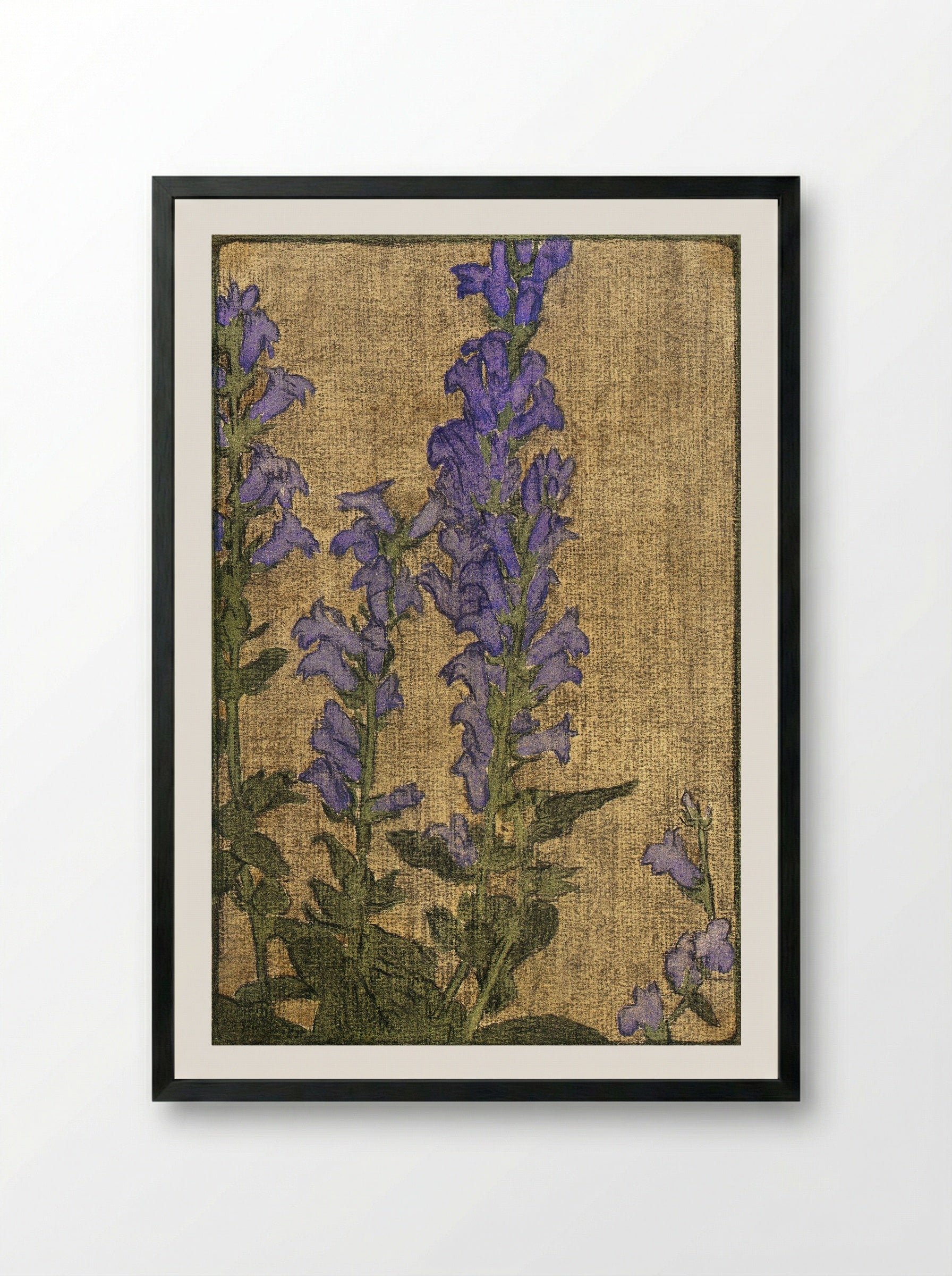 Delphinium (1915) - Hannah Borger Overbeck - Framed Print Black