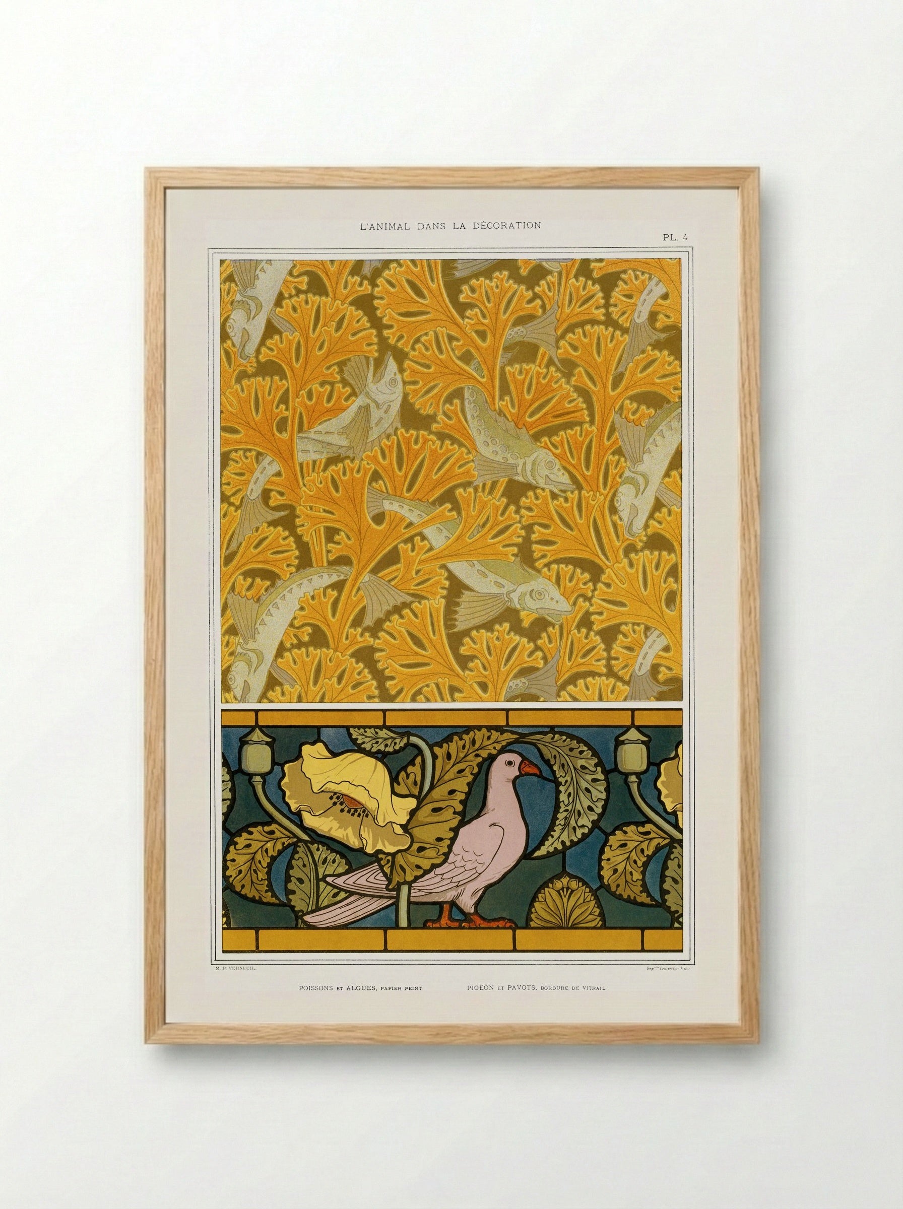 Poisson et Algues, Papier Peint / Pigeon et Pavots, Bordure de Vitrail - Maurice Pillard Verneuil - Framed Print Wood