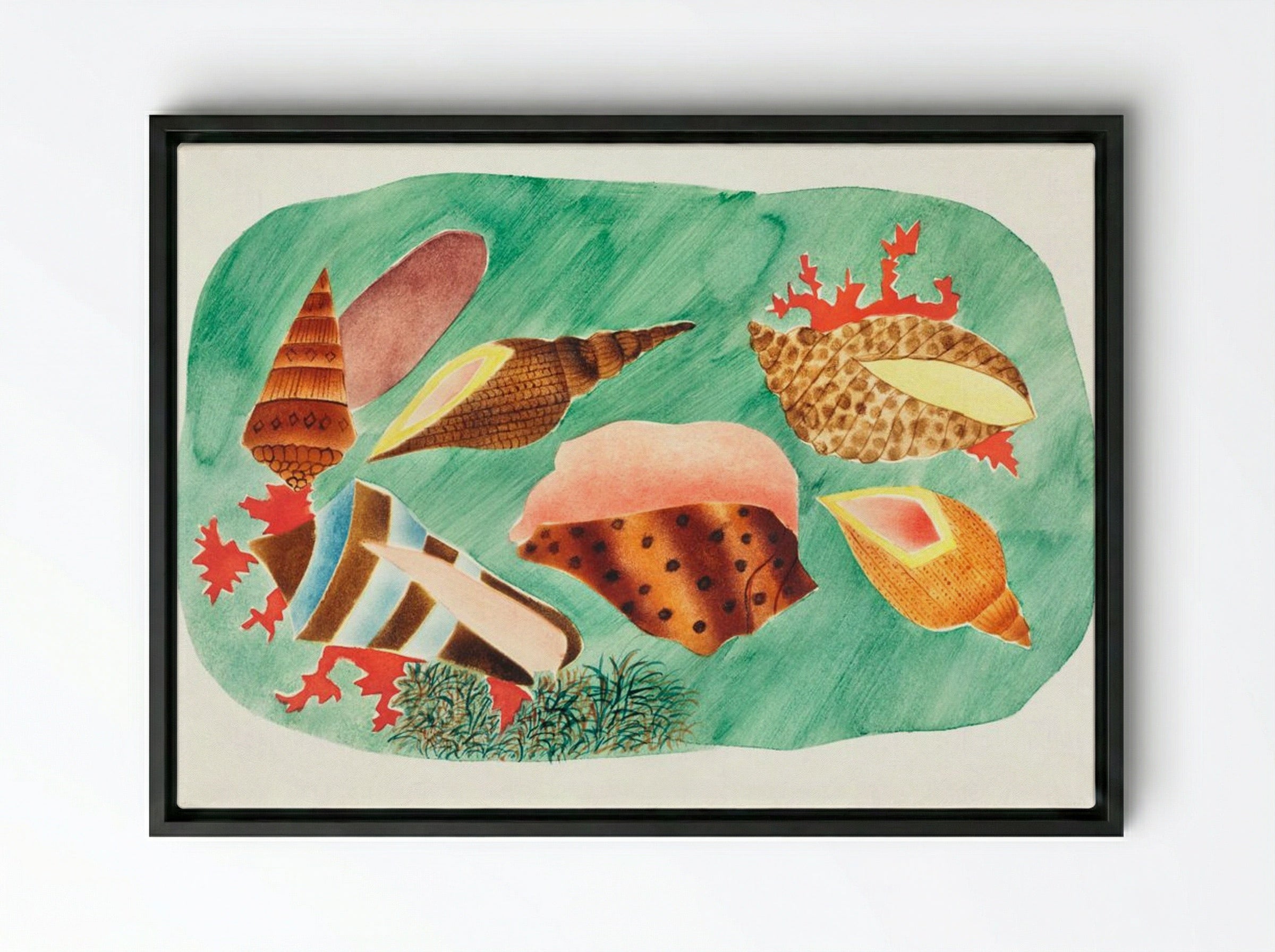 Shells in Seaweed - Mary Altha Nims - Framed Canvas Black