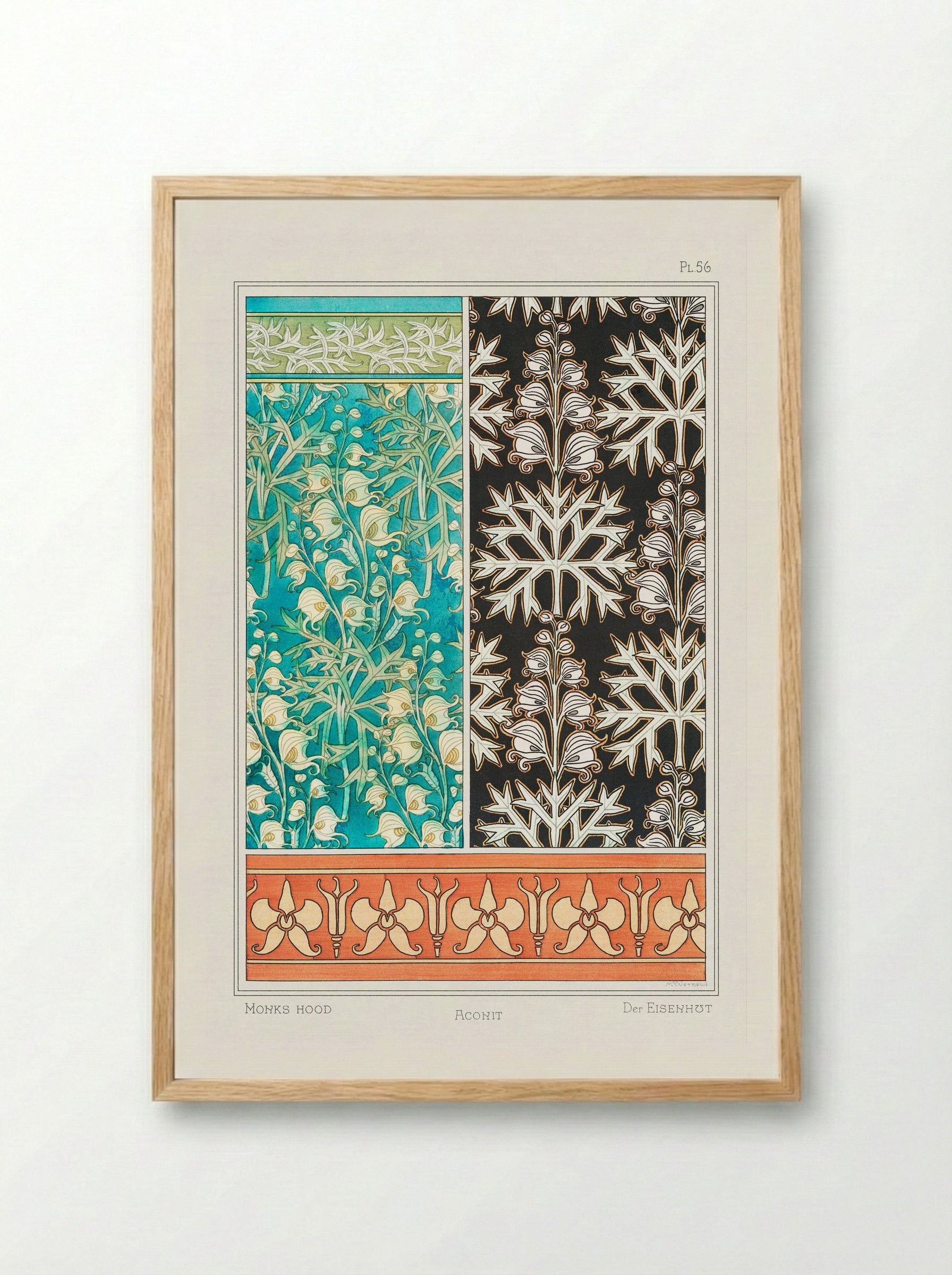 Aconite (Monkshood) - Maurice Pillard Verneuil - Framed Print Wood