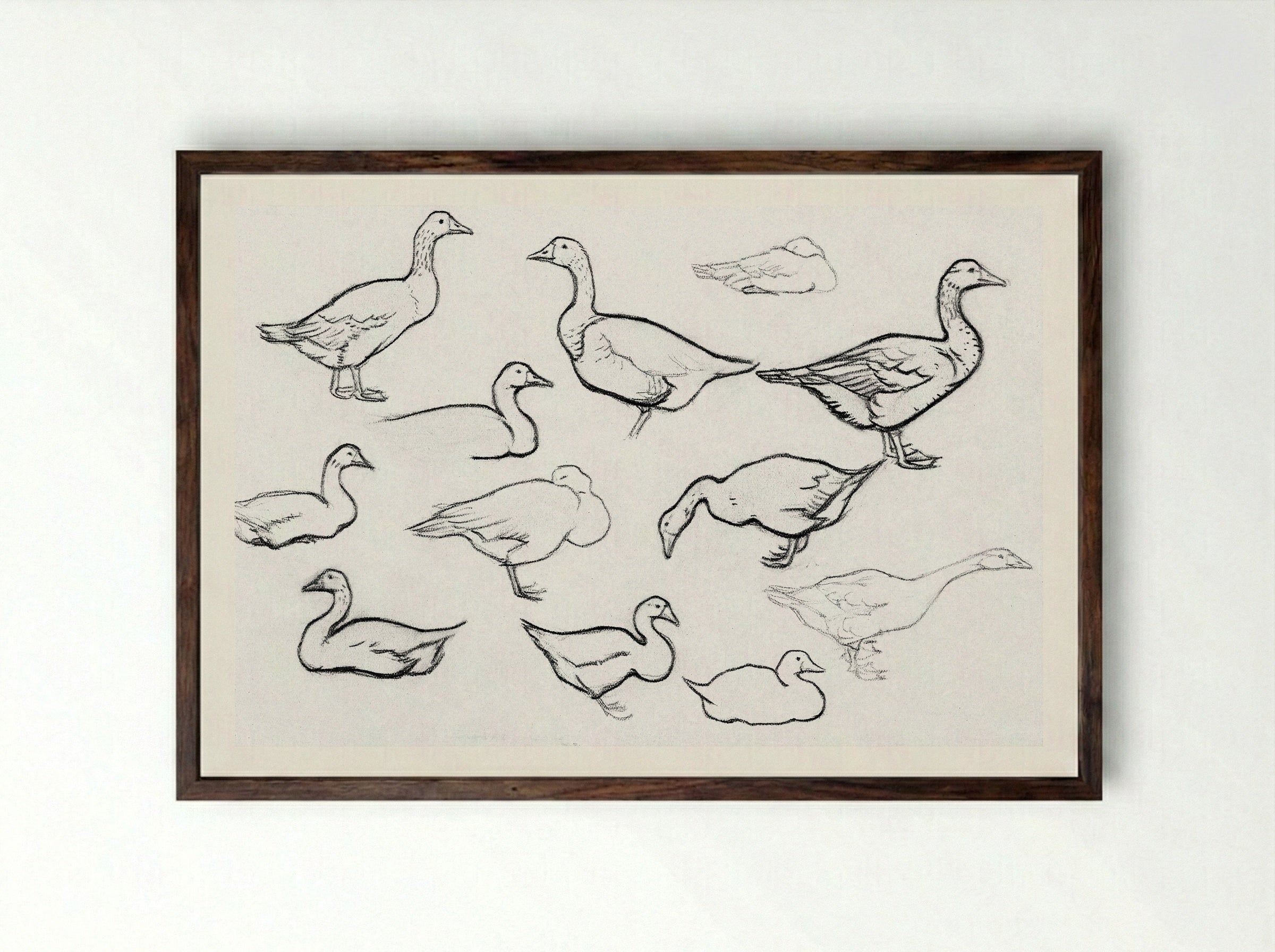 Study of Geese - Julie de Graag - Framed Print Dark Wood