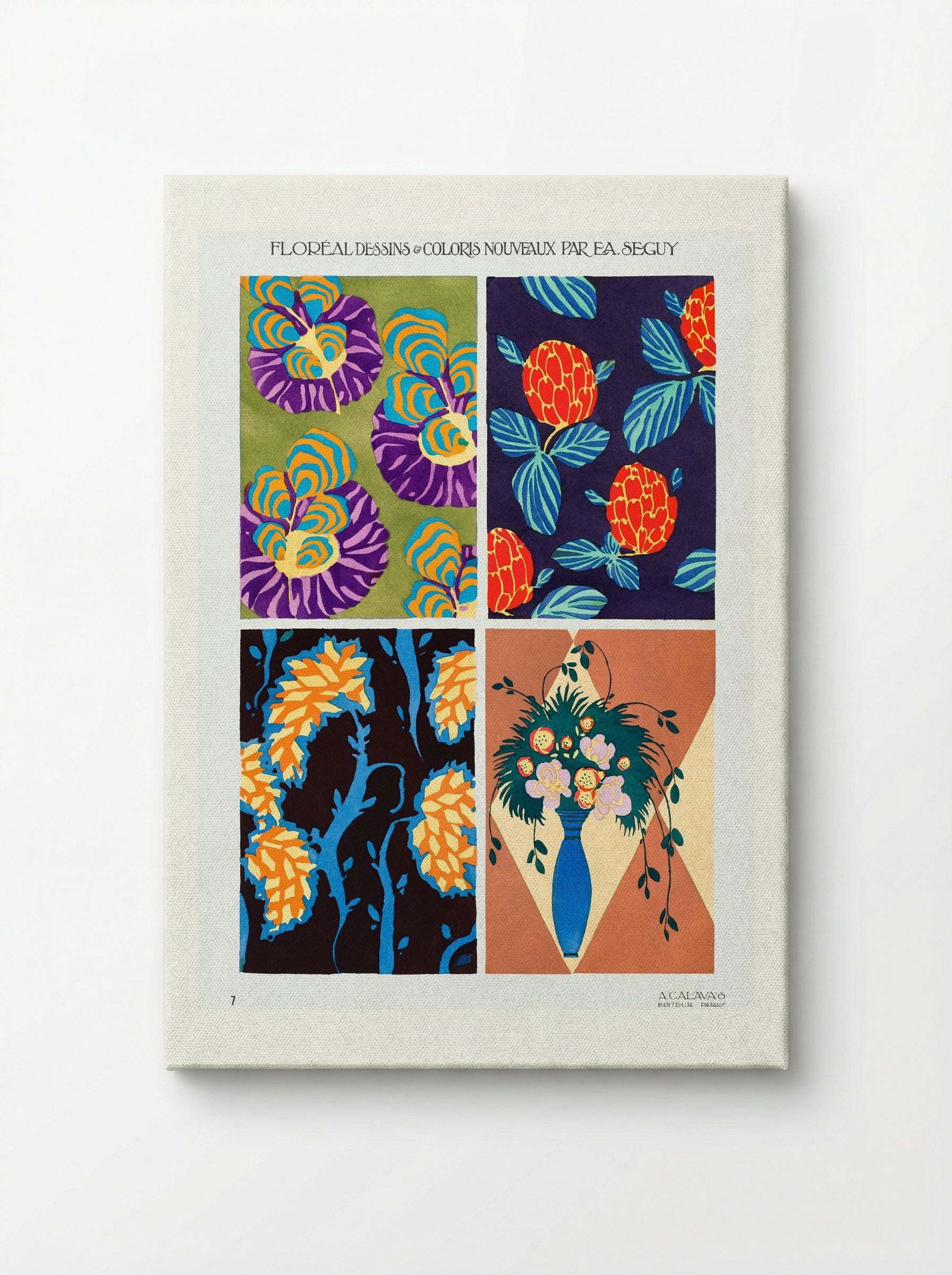 Floréal Dessins & Coloris Nouveaux - Émile-Allain Séguy - Canvas