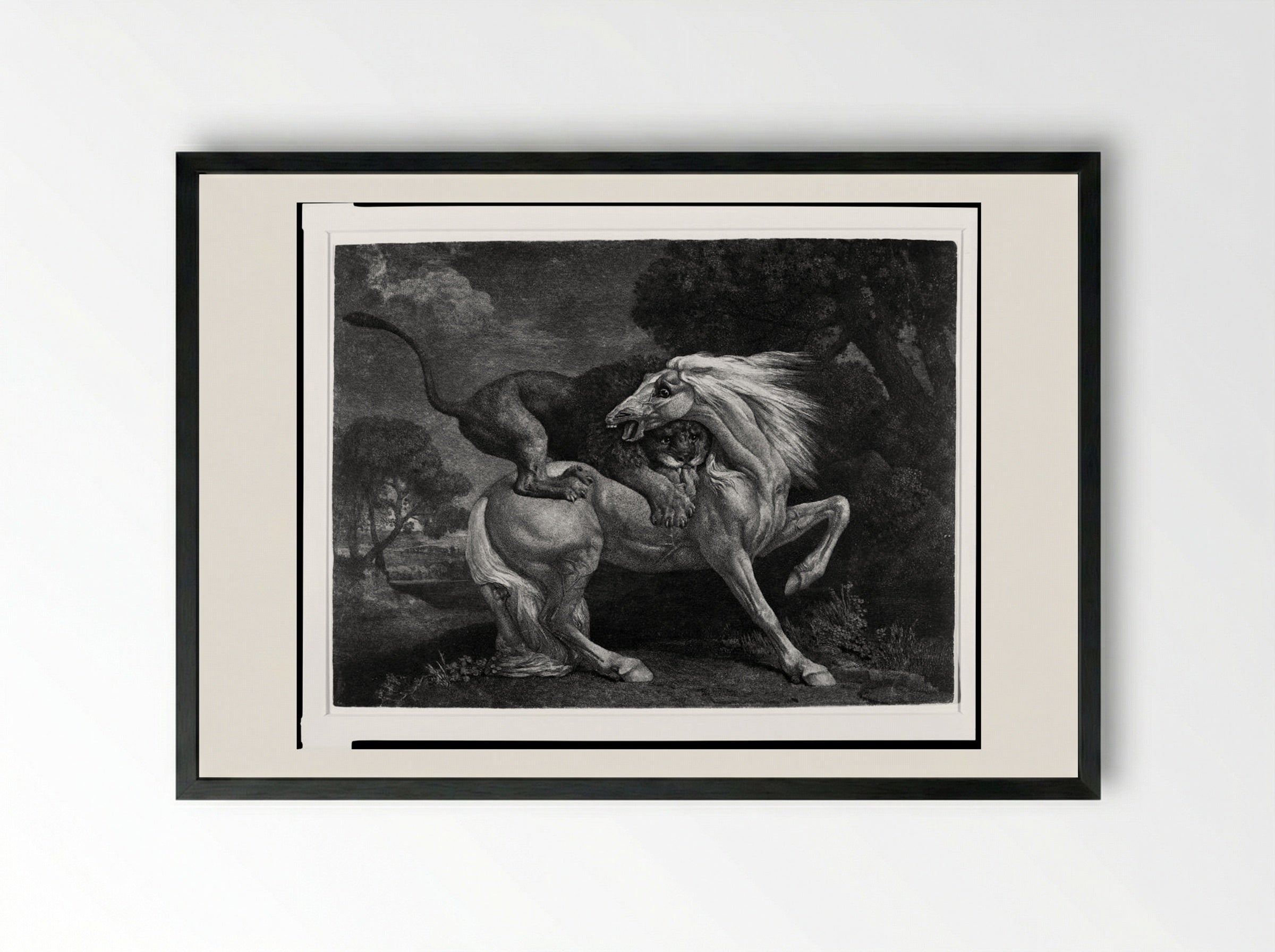 A Lion Devouring a Horse - George Stubbs - Framed Print Black