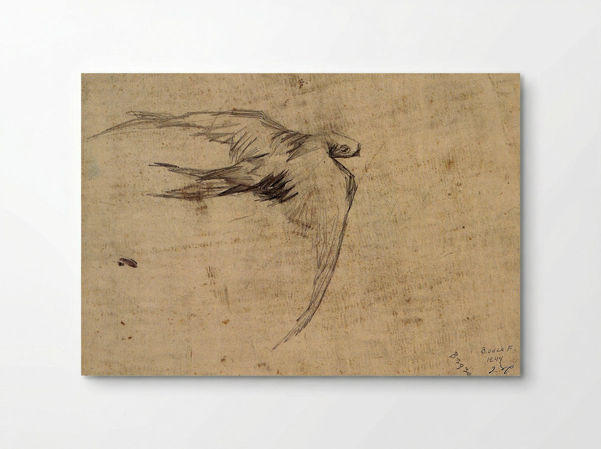 Study of a Swift in Flight - Leonardo da Vinci - Poster