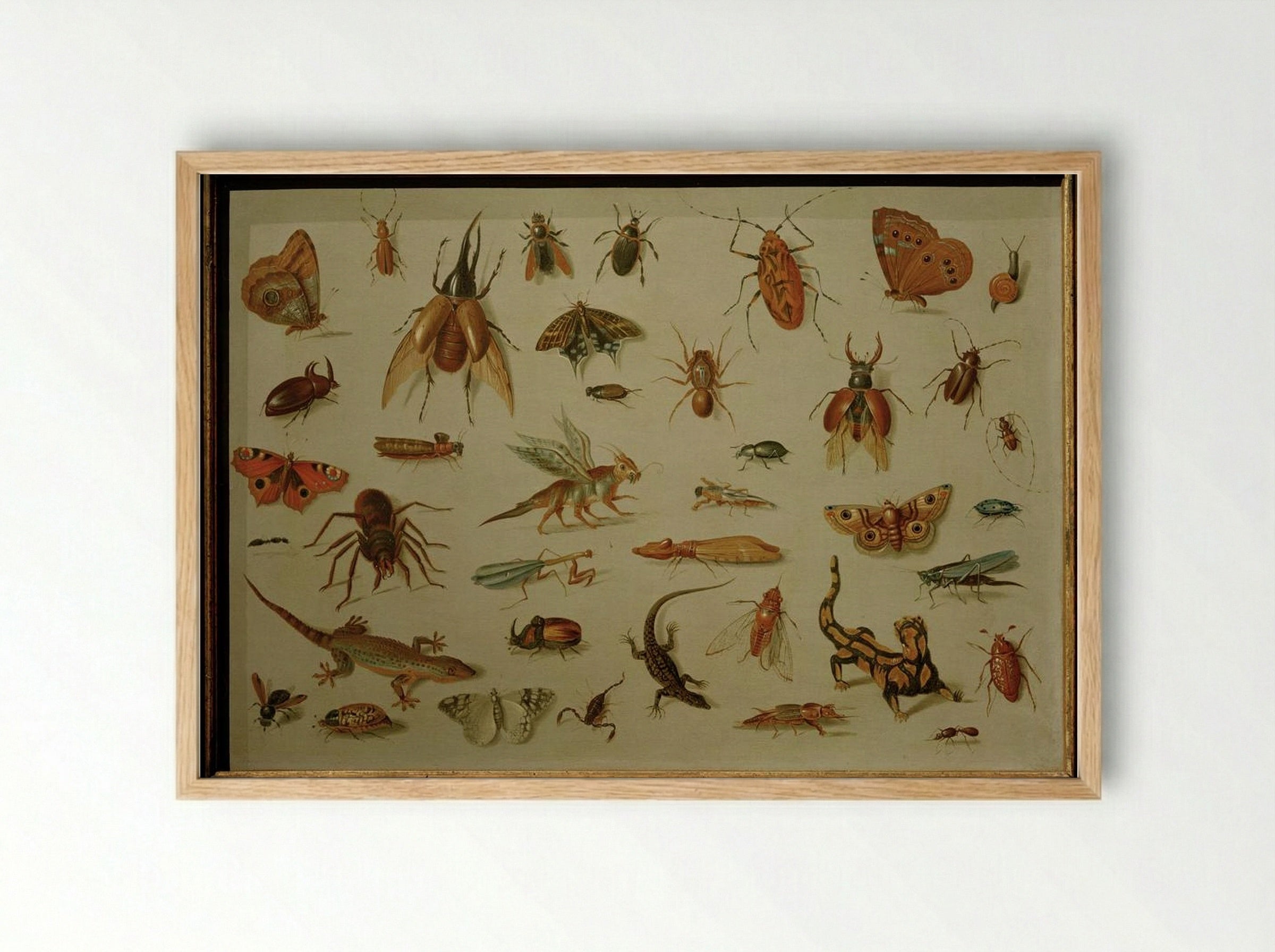 Insects and Reptiles - Jan van Kessel the Elder - Framed Print Wood