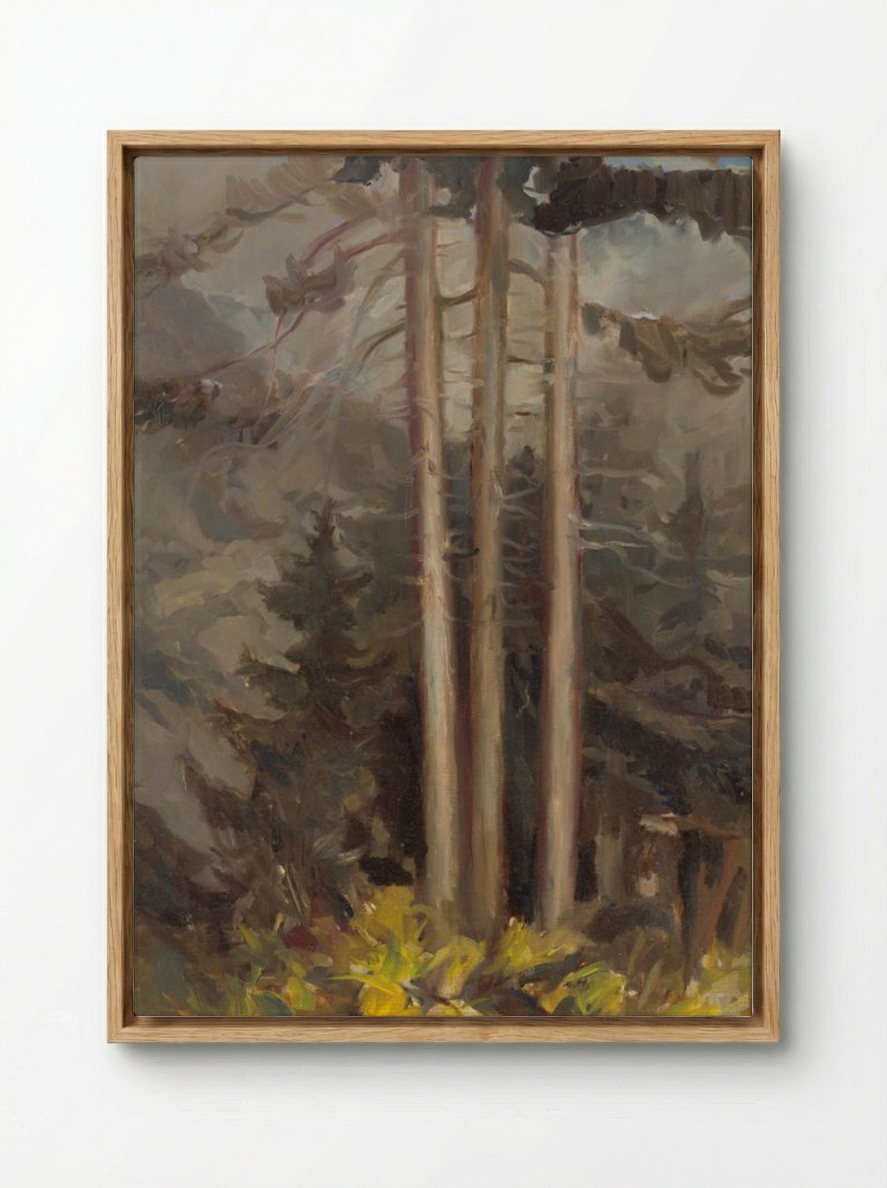Spruce - Zolo Palugyay - Framed Canvas Wood
