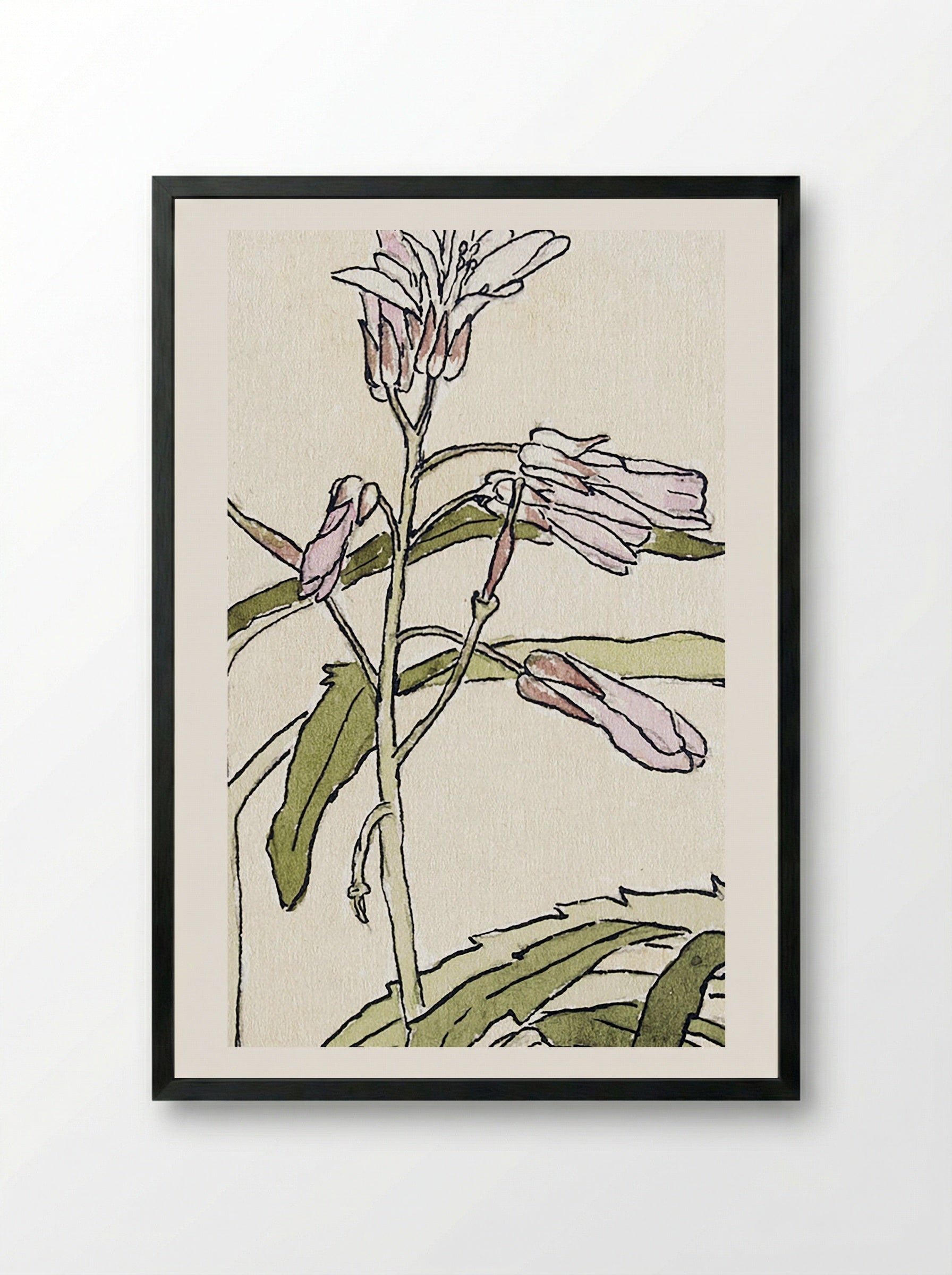 Pink Flowers with Spiky Green Leaves (1915) - Hannah Borger Overbeck - Framed Print Black