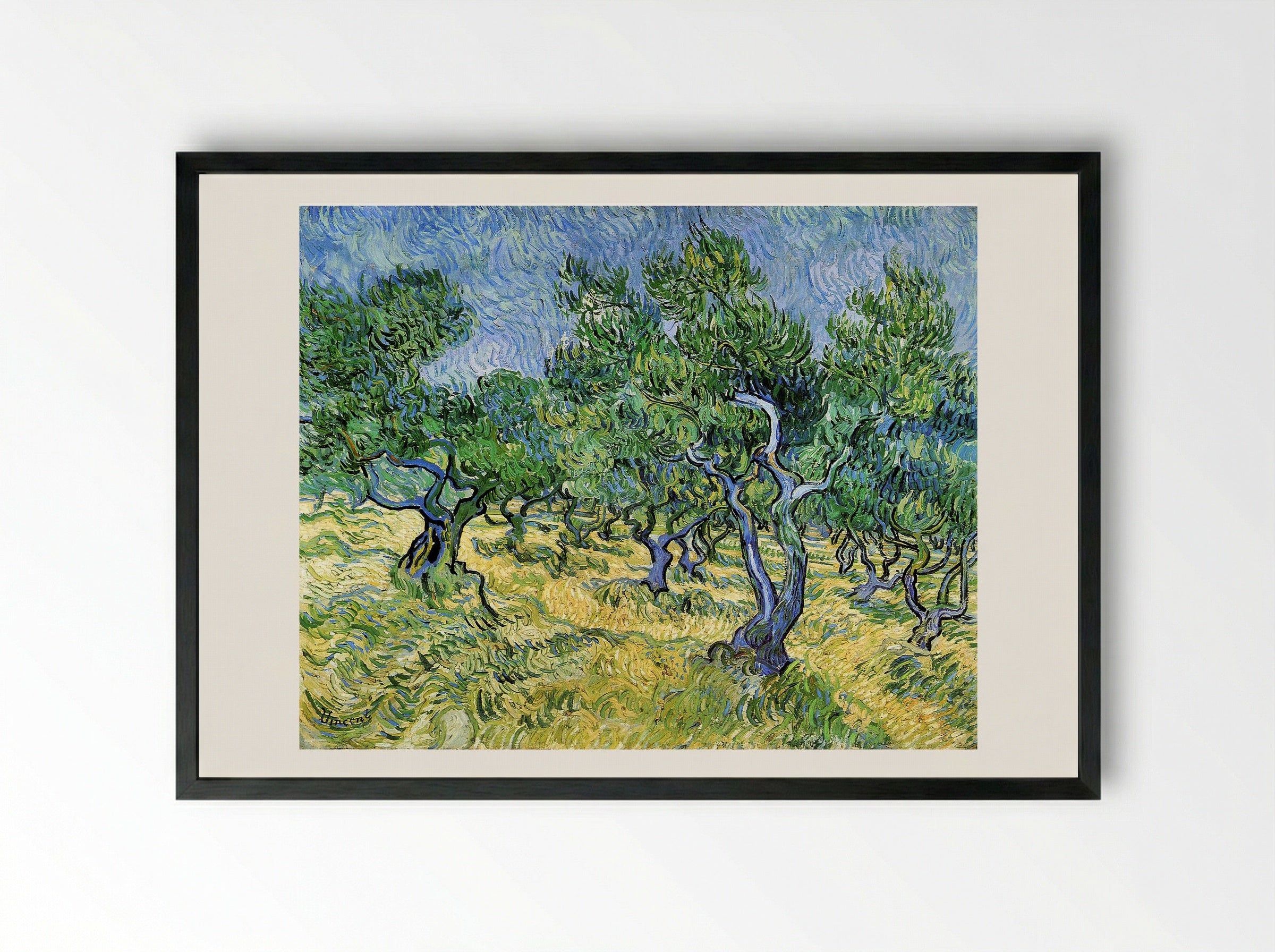 Olive Grove - Vincent van Gogh - Framed Print Black