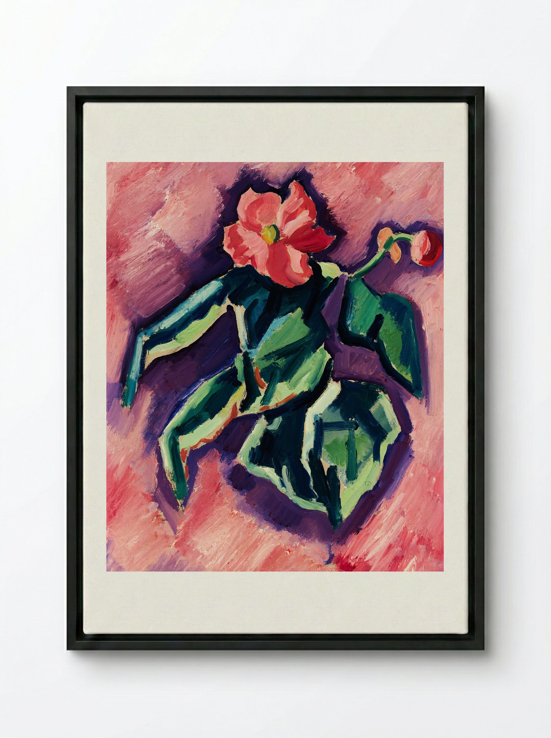 Pink Begonias - Marsden Hartley - Framed Canvas Black