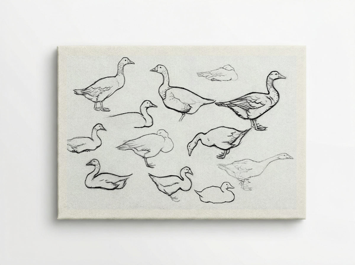 Study of Geese - Julie de Graag - Canvas
