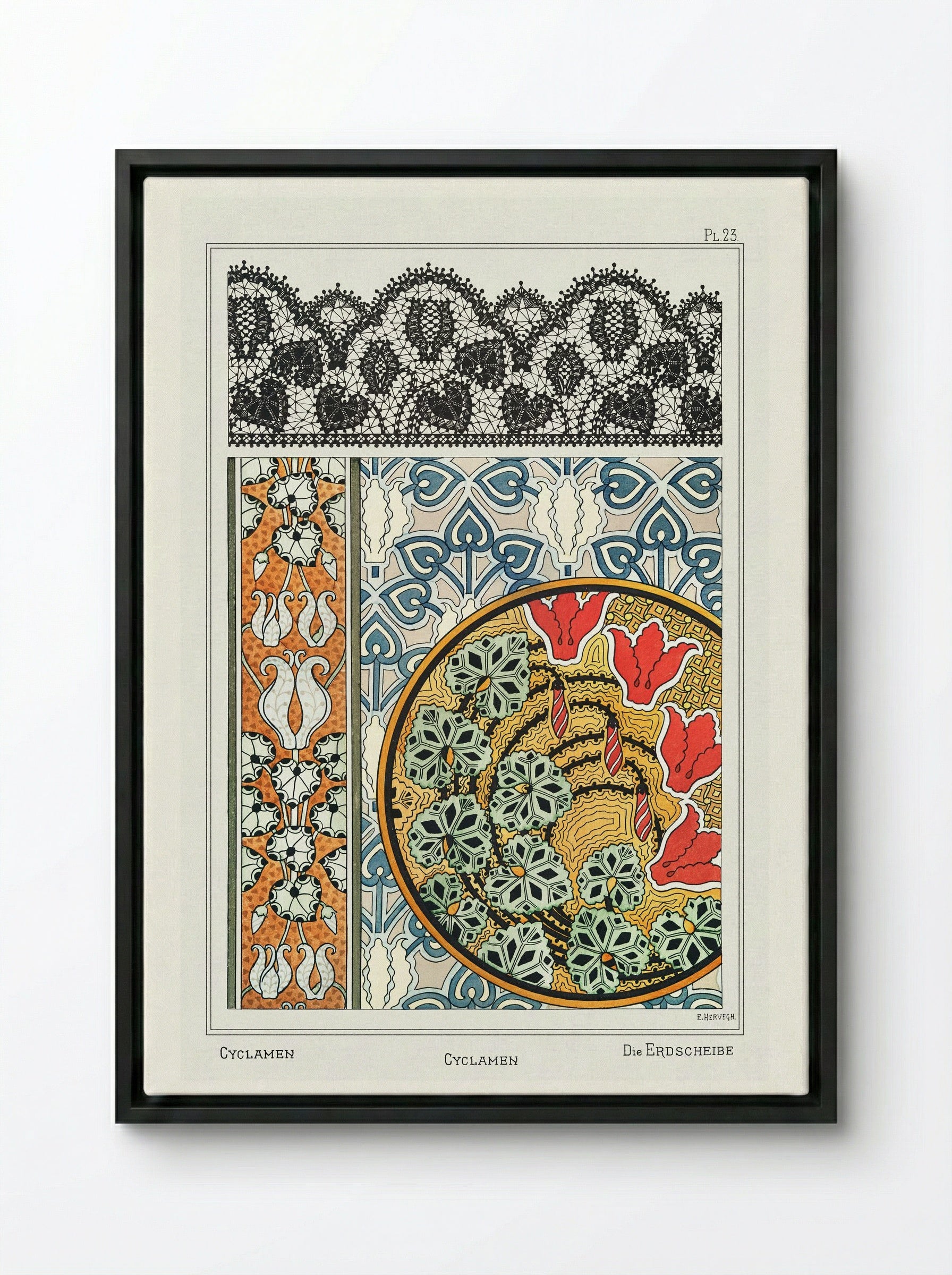 Cyclamen, from 'La Plante et ses Applications ornementales' - Maurice Pillard Verneuil - Framed Canvas Black