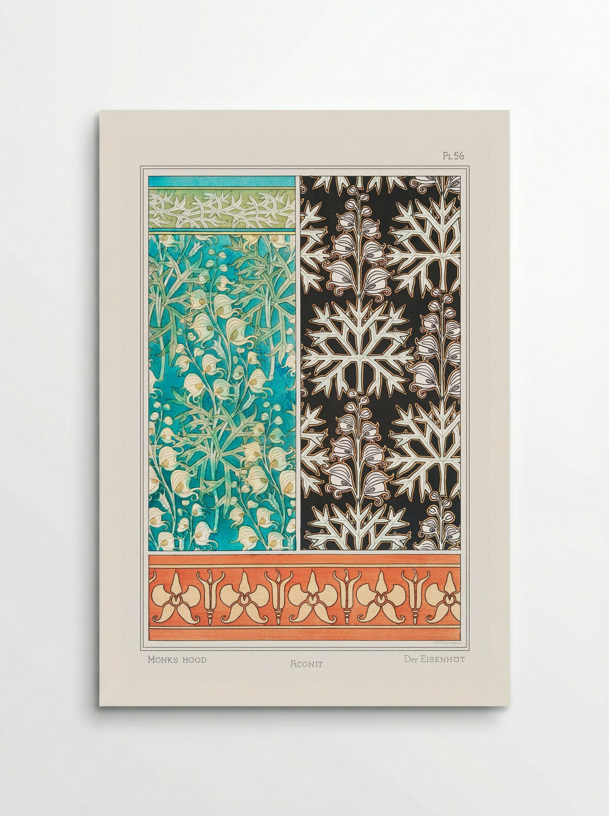 Aconite (Monkshood) from La Plante et ses Applications ornementales - Maurice Pillard Verneuil - Poster