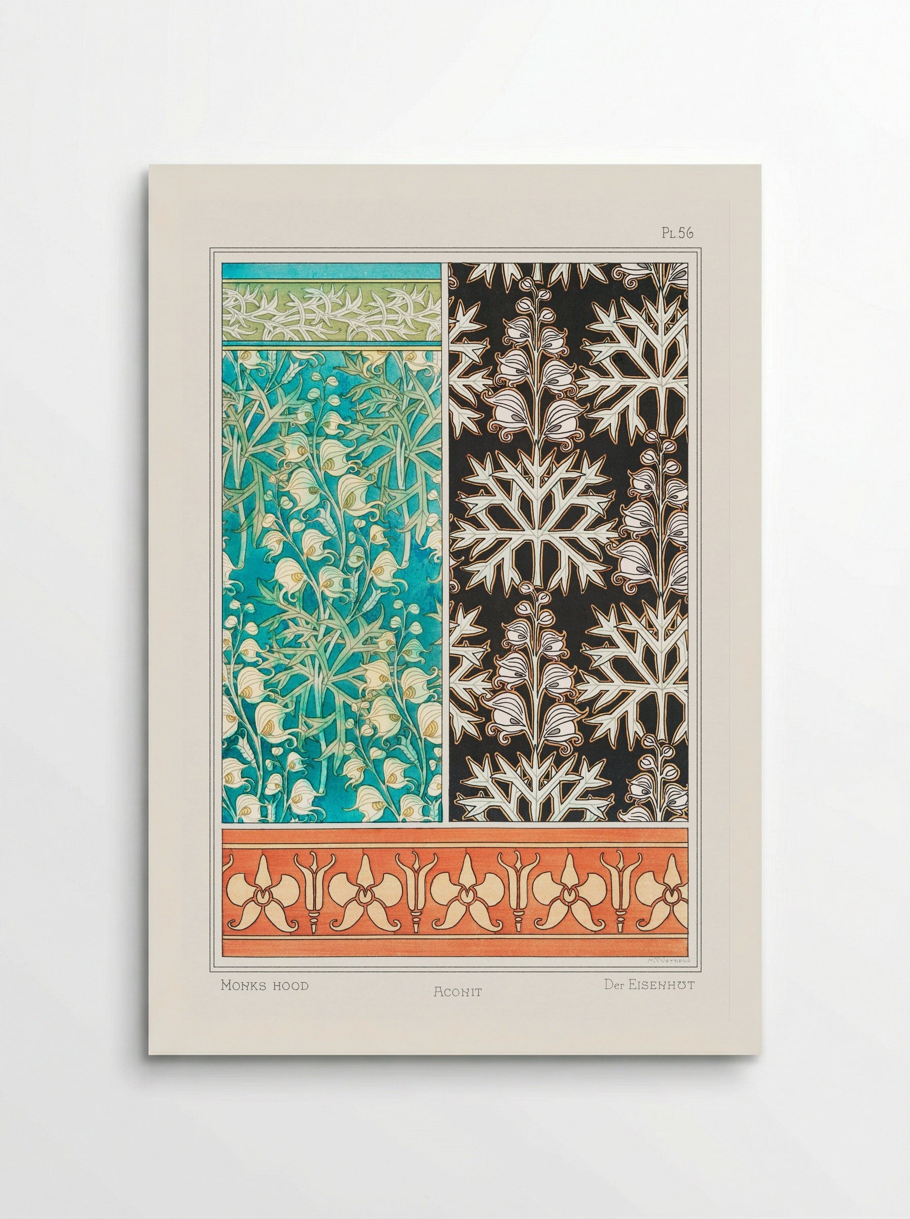 Aconite (Monkshood) from La Plante et ses Applications ornementales - Maurice Pillard Verneuil - Poster