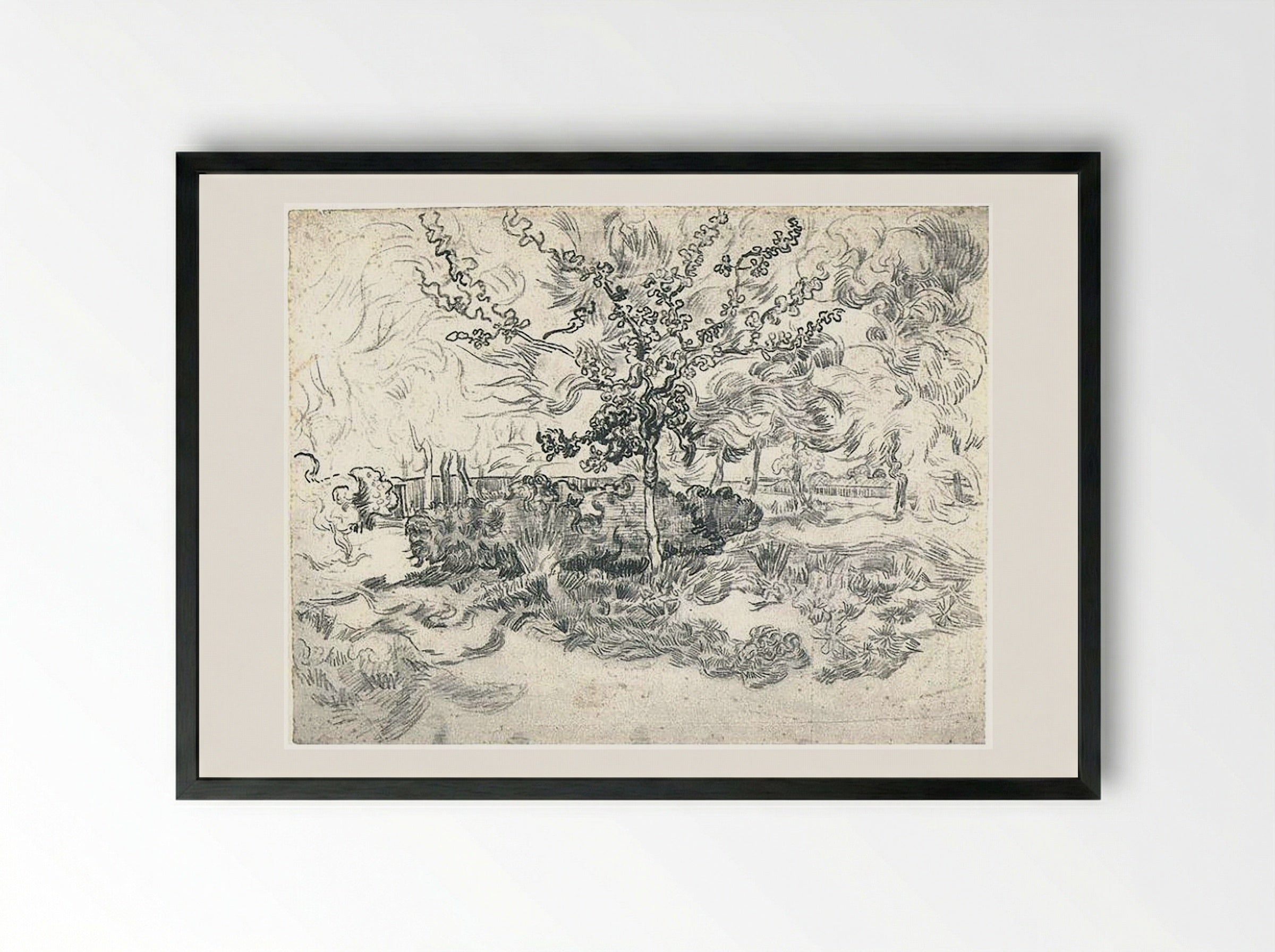 The Garden of the Asylum - Vincent van Gogh - Framed Print Black
