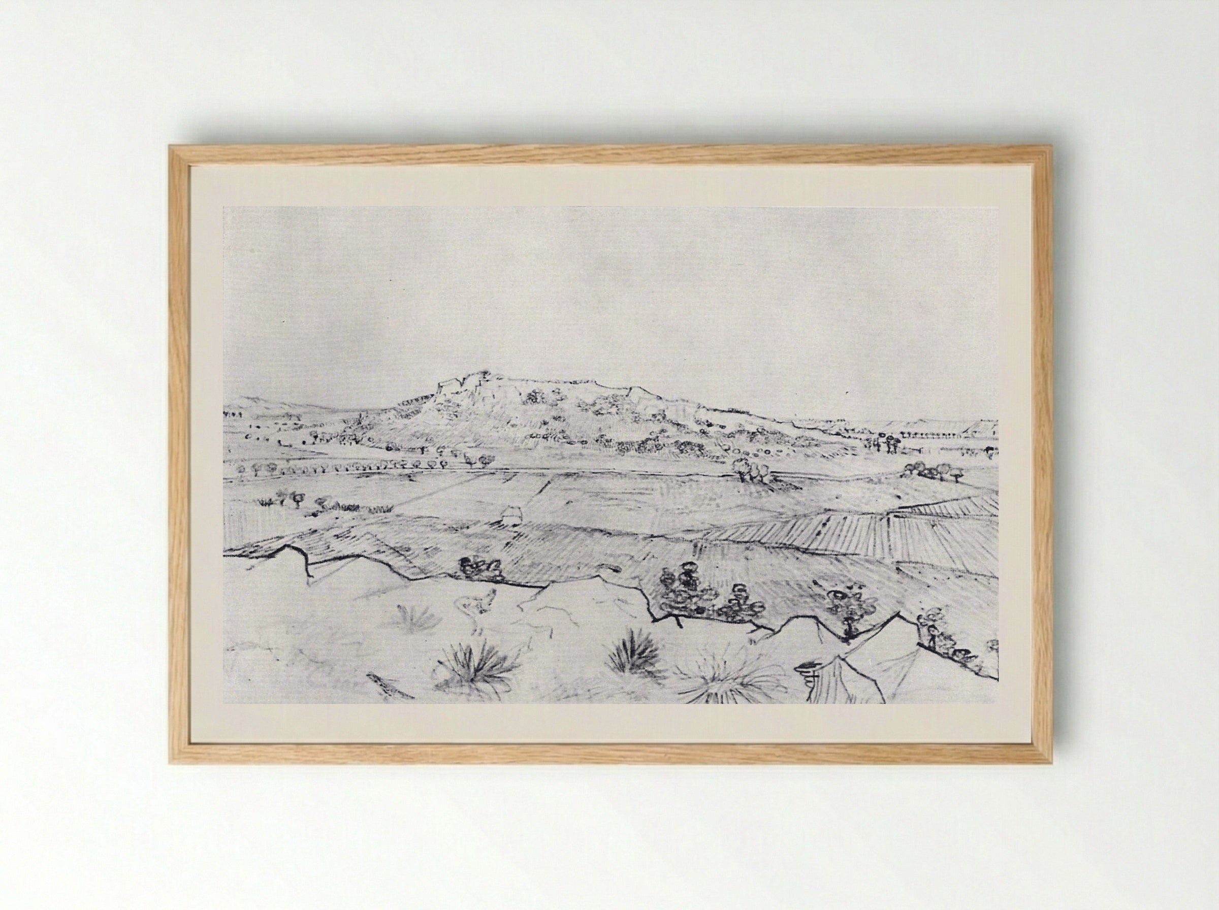 La Crau Seen from Montmajour - Vincent van Gogh - Framed Print Wood