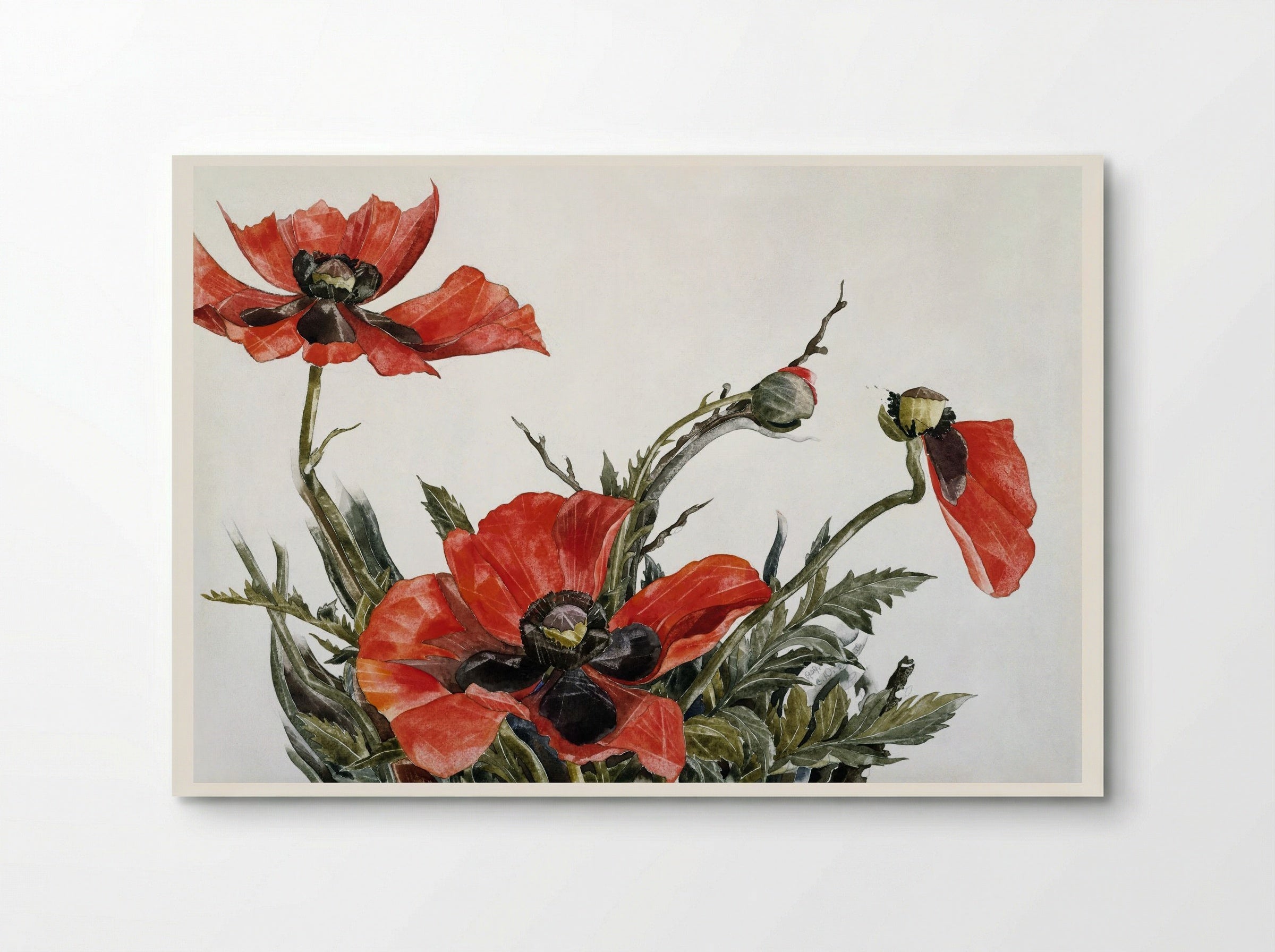 Red Poppies - Charles Demuth - Poster
