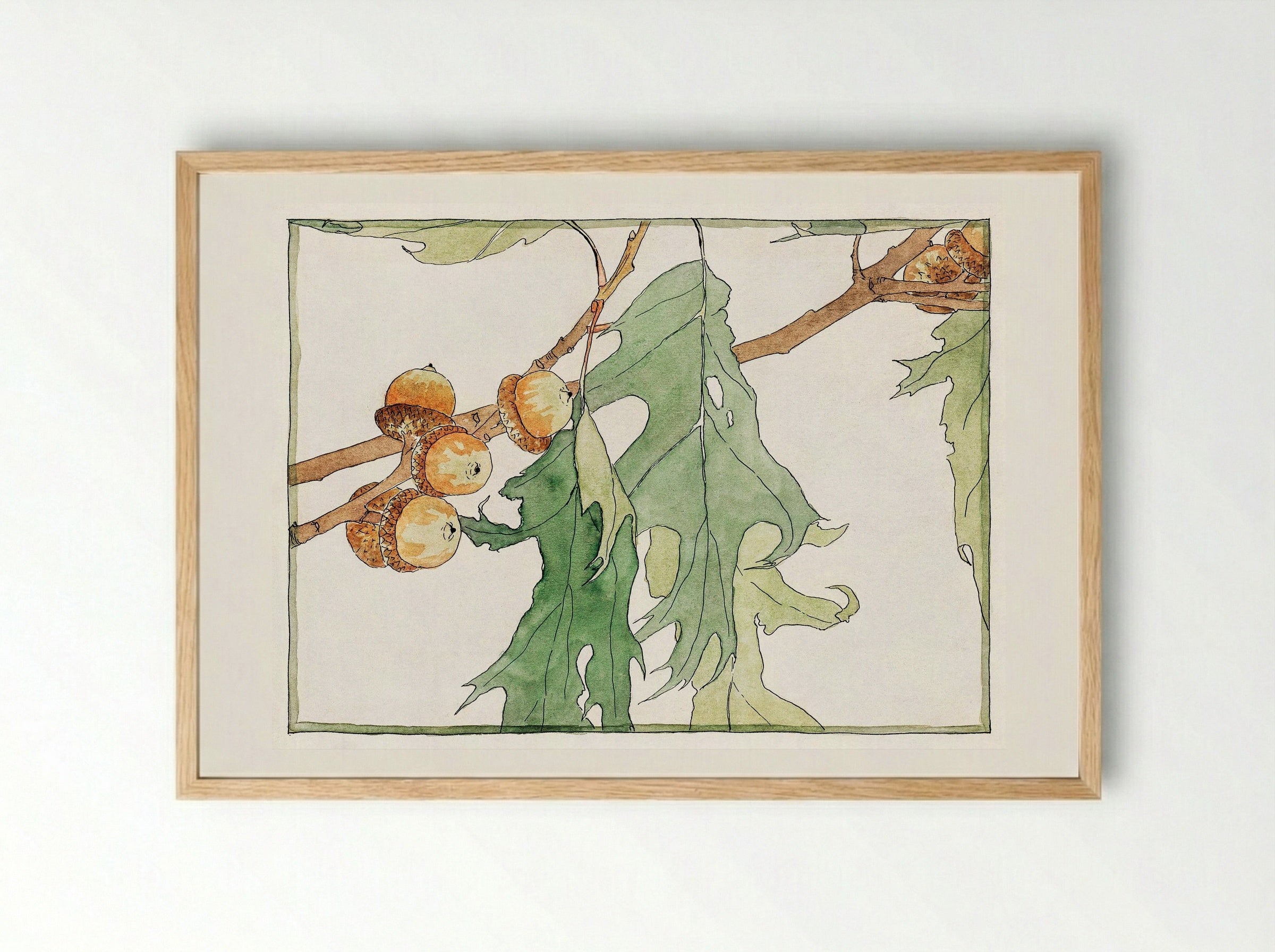 Oak Acorns (1915) - Hannah Borger Overbeck - Framed Print Wood
