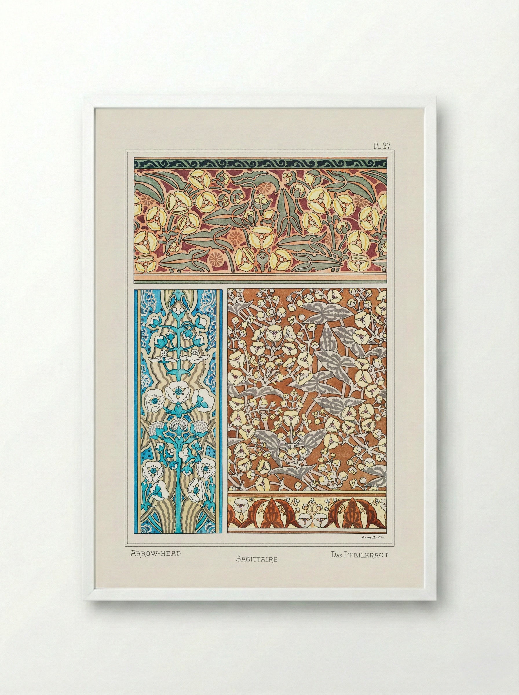 Sagittaire (Arrowhead) from La Plante et ses Applications ornementales - Maurice Pillard Verneuil - Framed Print White