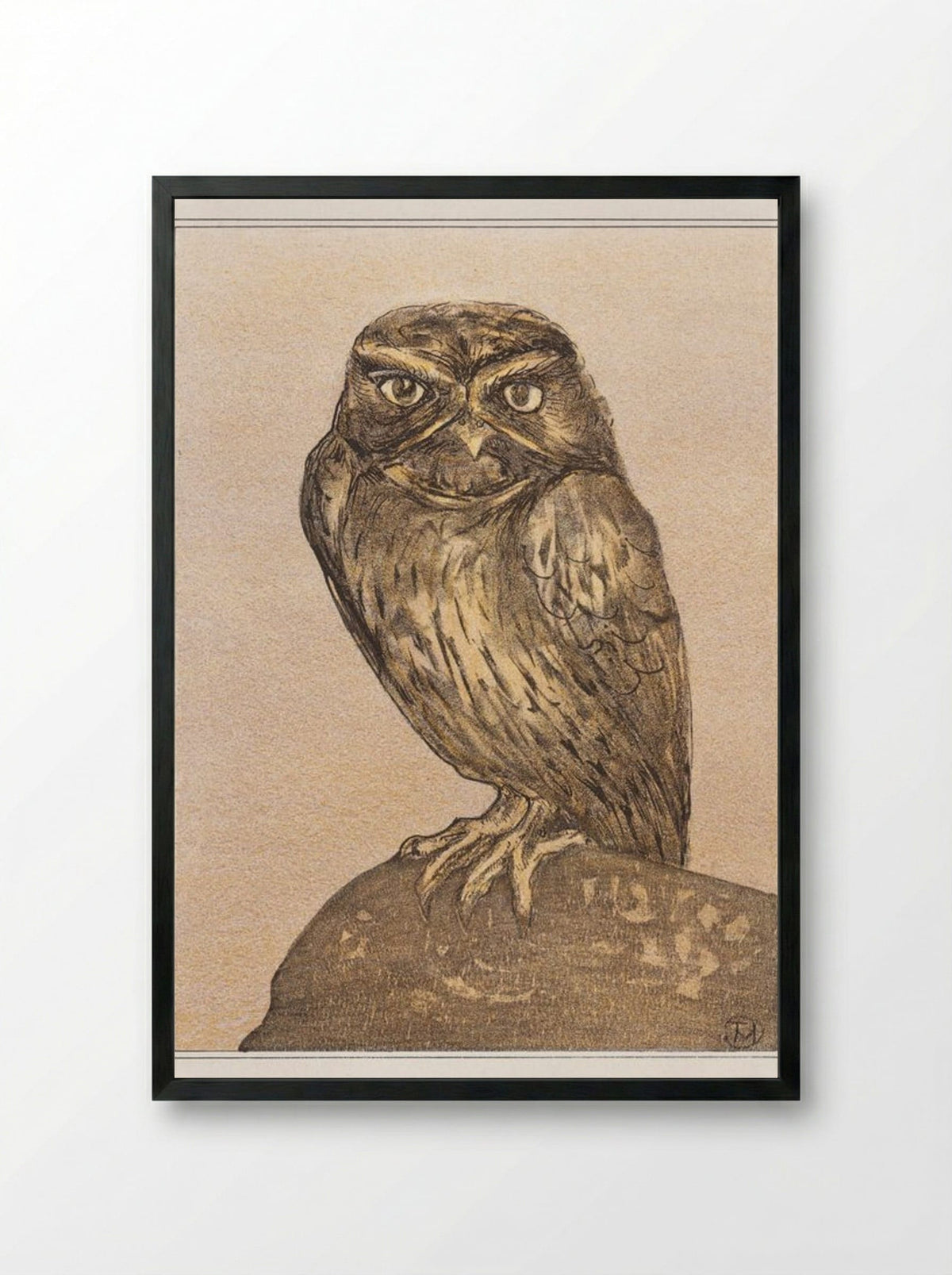Little Owl on a Rock - Theo van Hoytema - Framed Print Black
