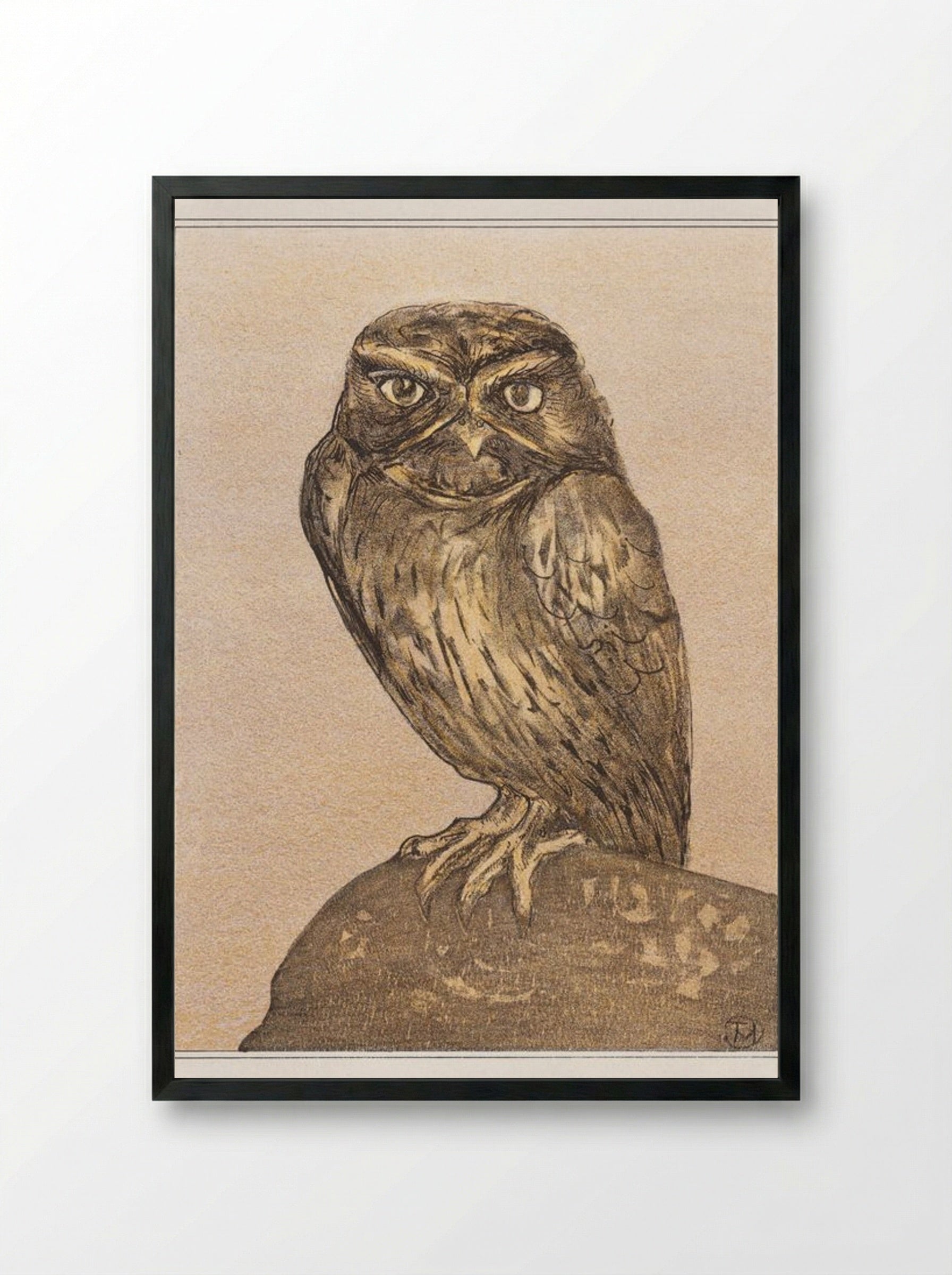 Little Owl on a Rock - Theo van Hoytema - Framed Print Black