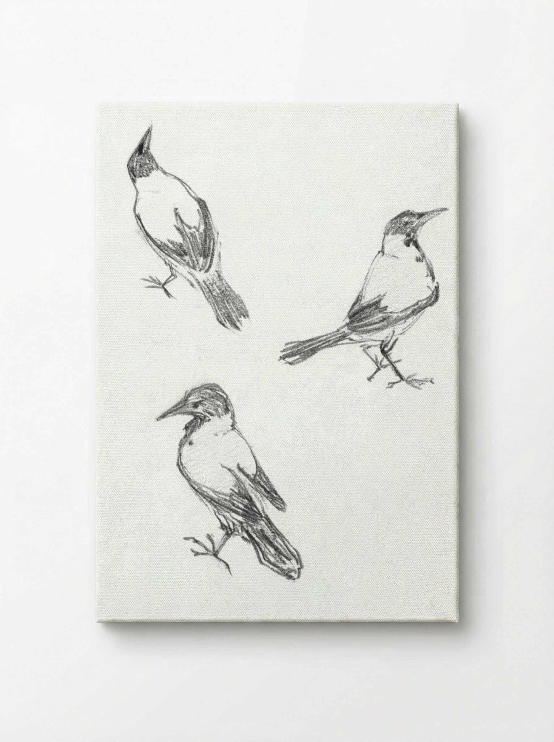 Three Sketches of a Crow - Julie de Graag - Canvas