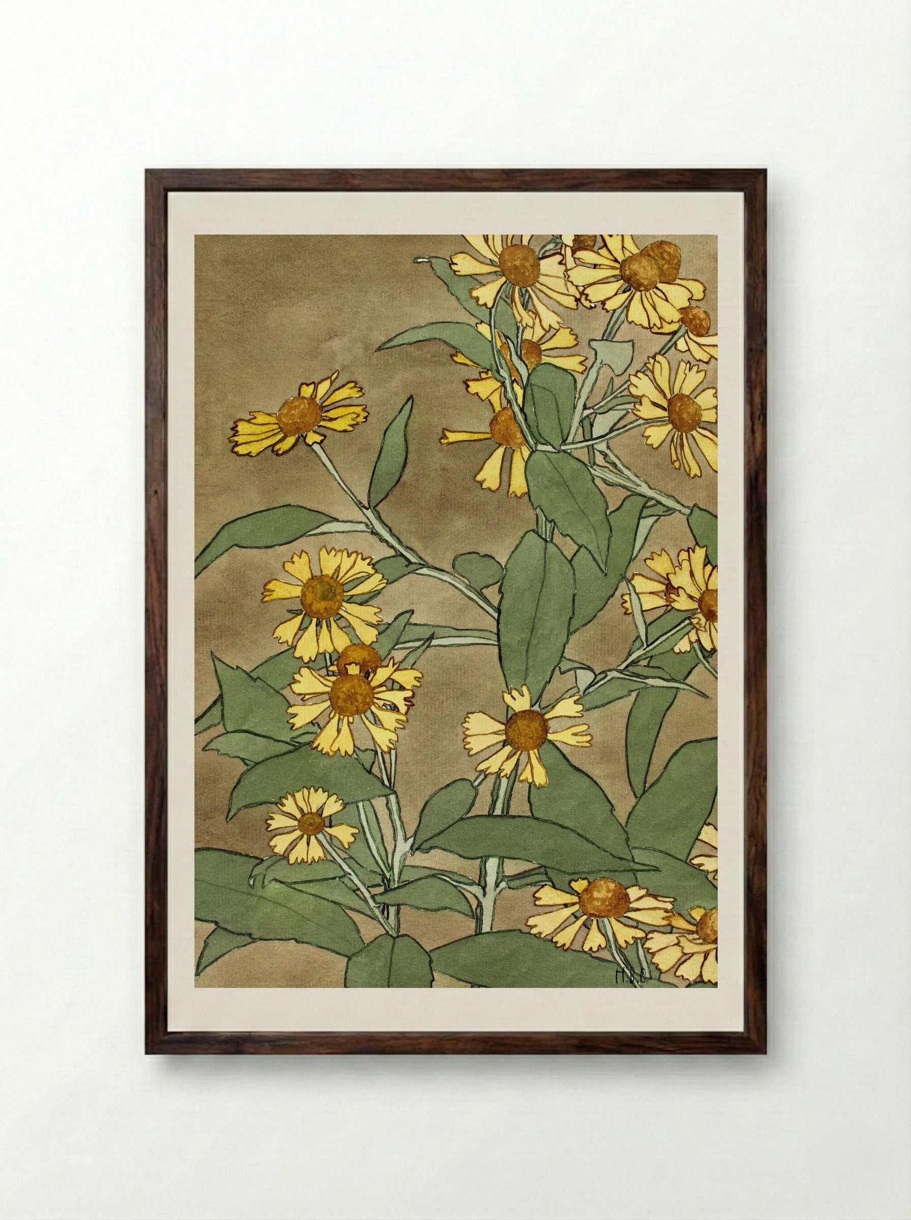 Daisies with Orange Center and Yellow Petals (1915) - Hannah Borger Overbeck - Framed Print Dark Wood