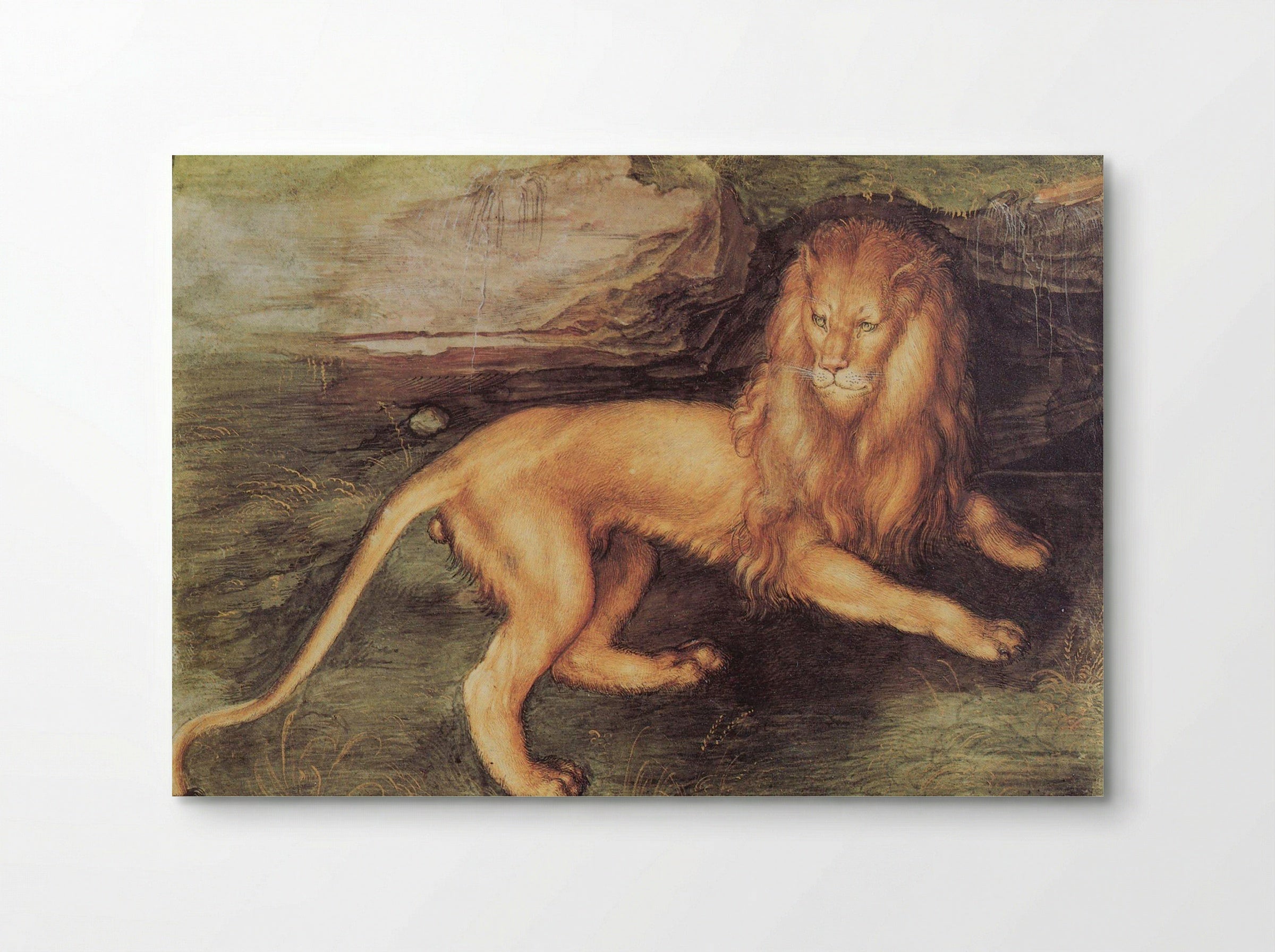 Study of a Lion - Leonardo da Vinci - Poster
