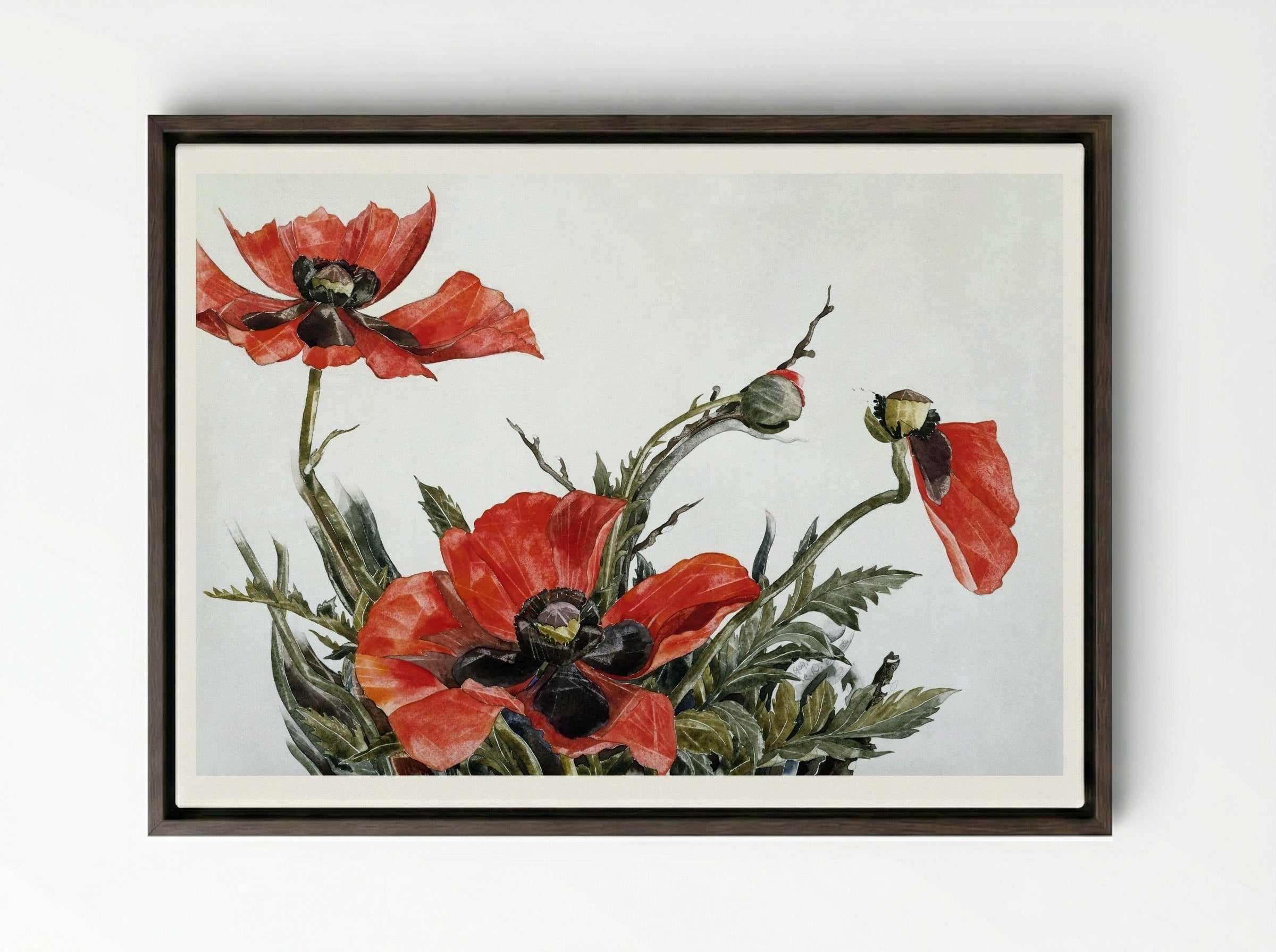 Red Poppies - Charles Demuth - Framed Canvas Dark Wood