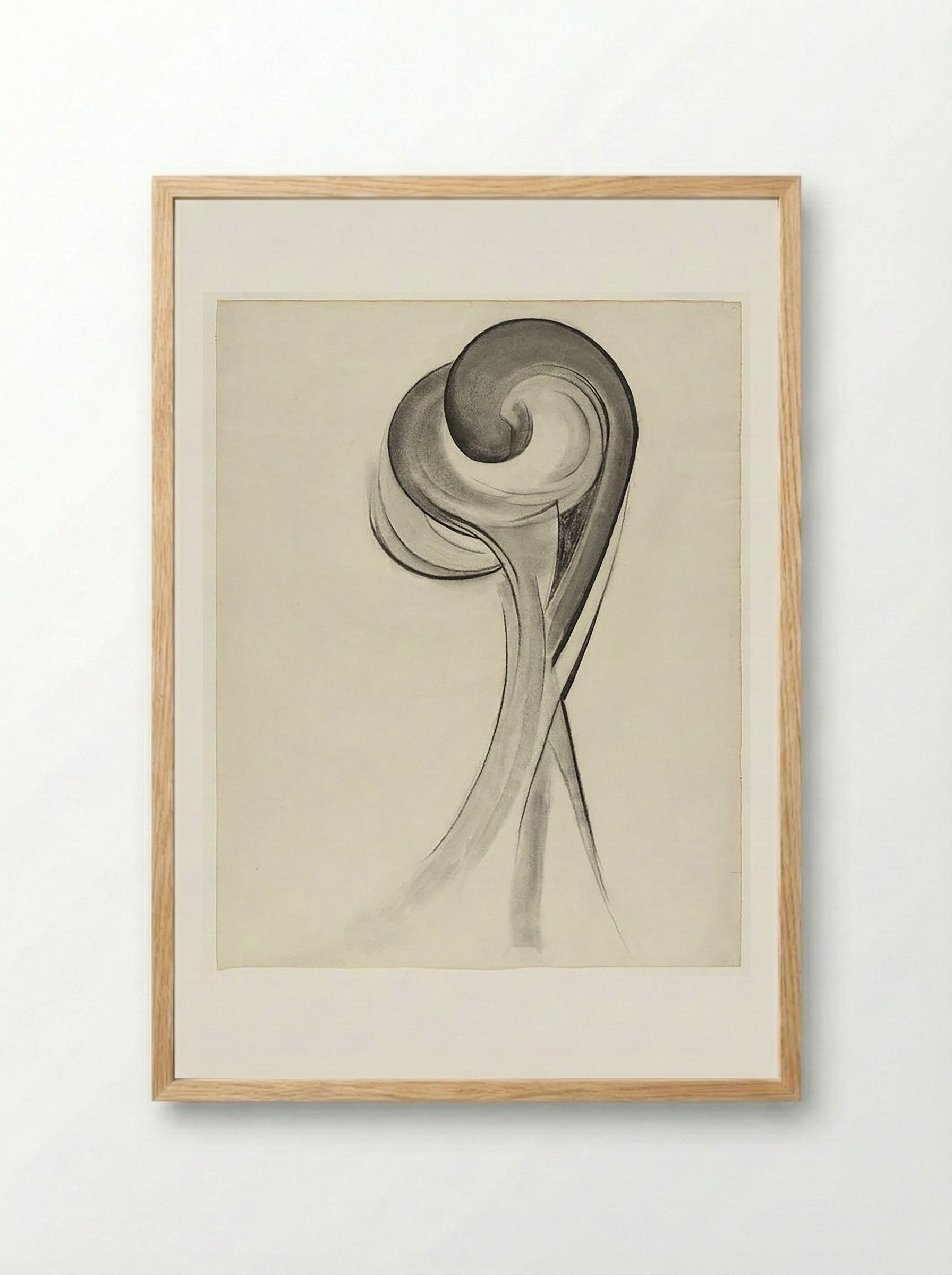 Untitled (Abstract Floral Study, Charcoal on Paper) - Fine Art Print - Framed Print Wood