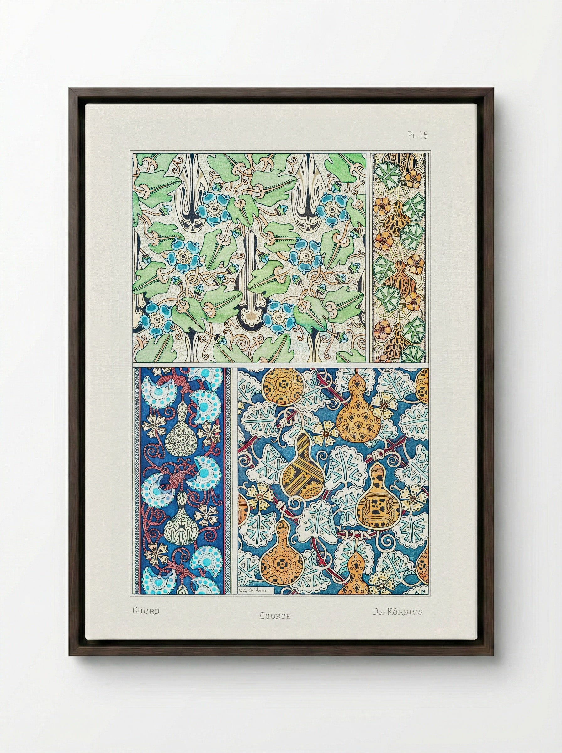 Courge (White-Flowered Gourd) from La Plante et ses Applications ornementales - Maurice Pillard Verneuil - Framed Canvas Dark Wood