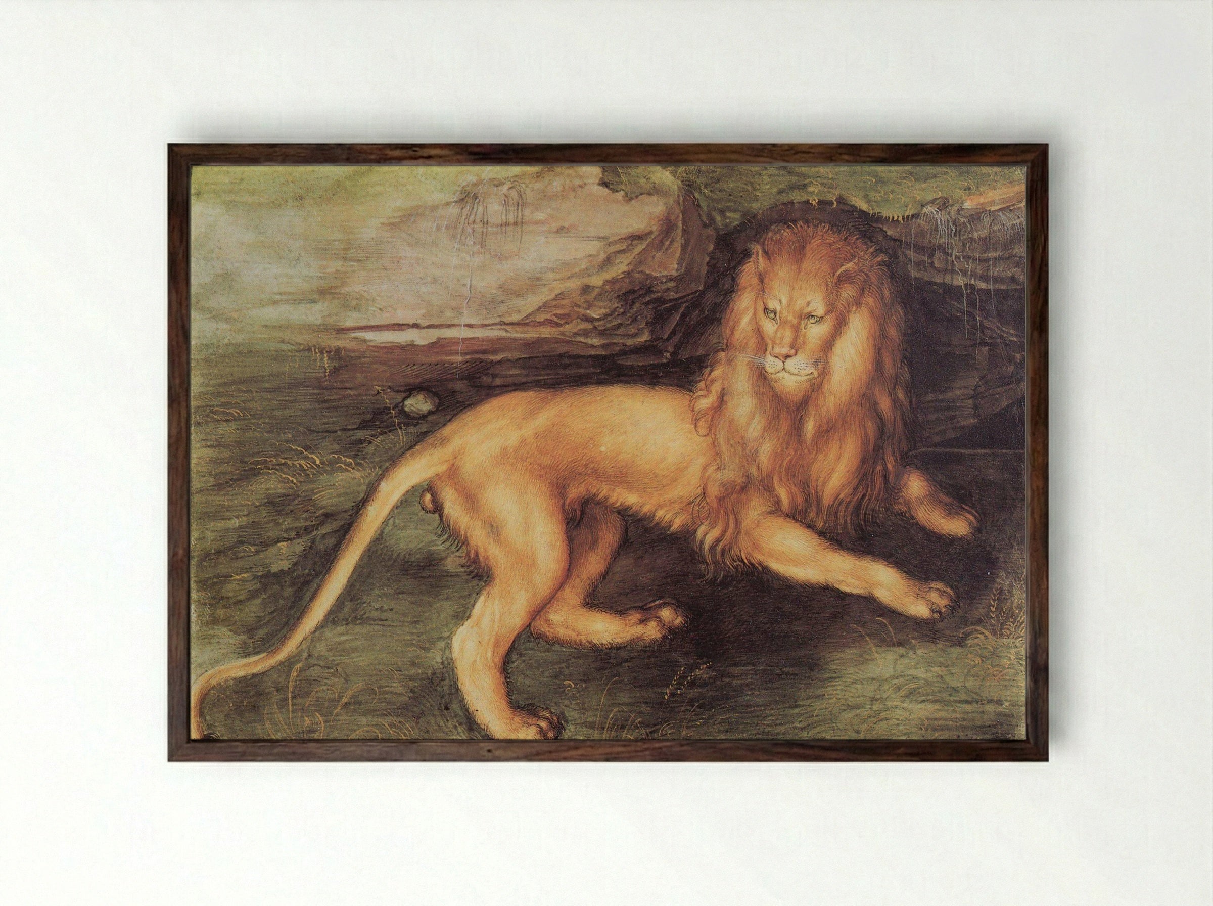 Study of a Lion - Leonardo da Vinci - Framed Print Dark Wood