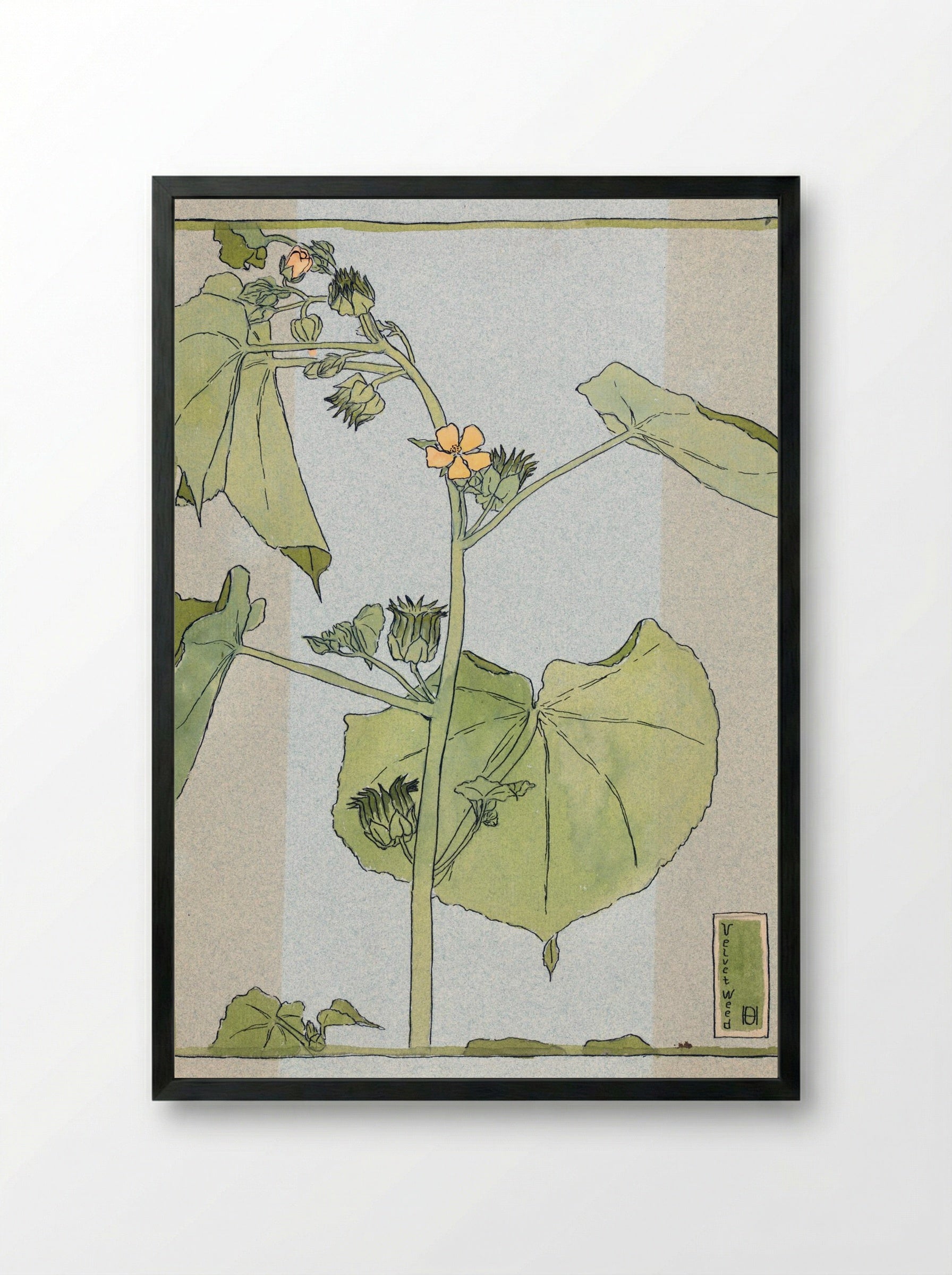 Velvet Weed (1915) - Hannah Borger Overbeck - Framed Print Black