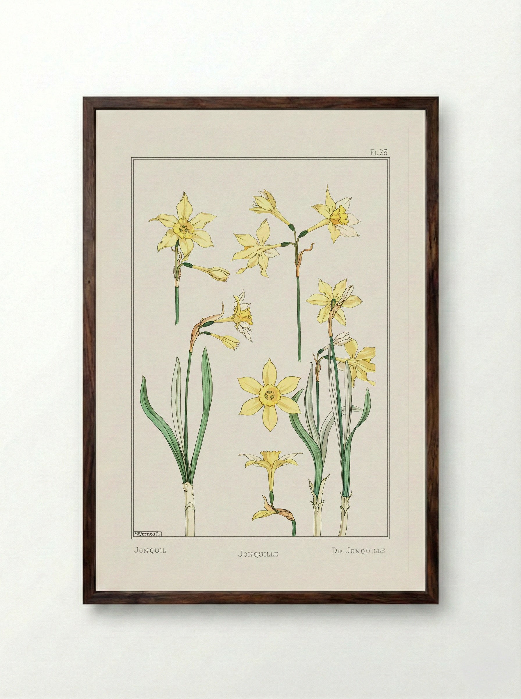 Jonquille or Jonquil - Maurice Pillard Verneuil - Framed Print Dark Wood