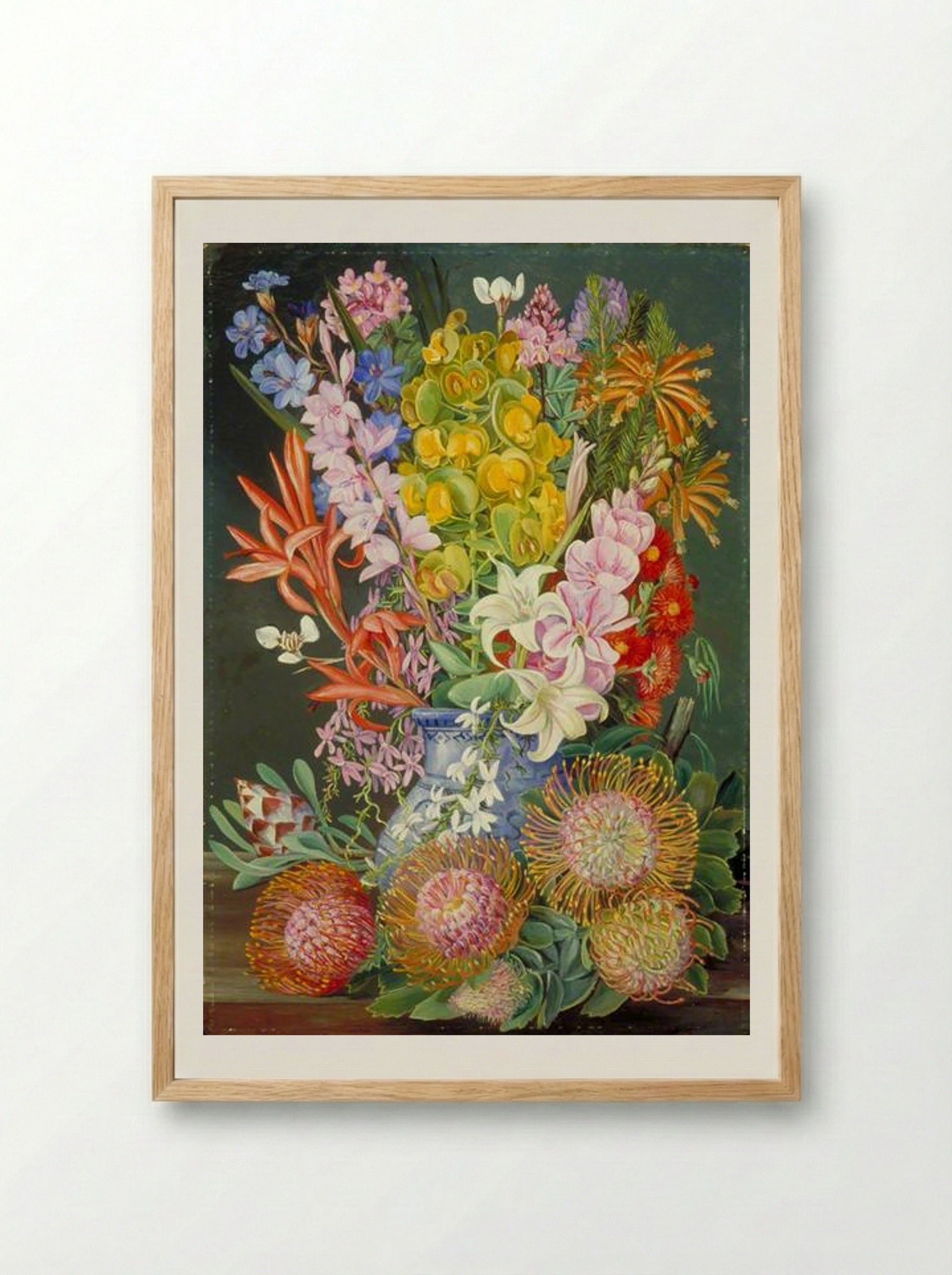 Wild Flowers of Ceres, South Africa - Marianne North - Framed Print Wood