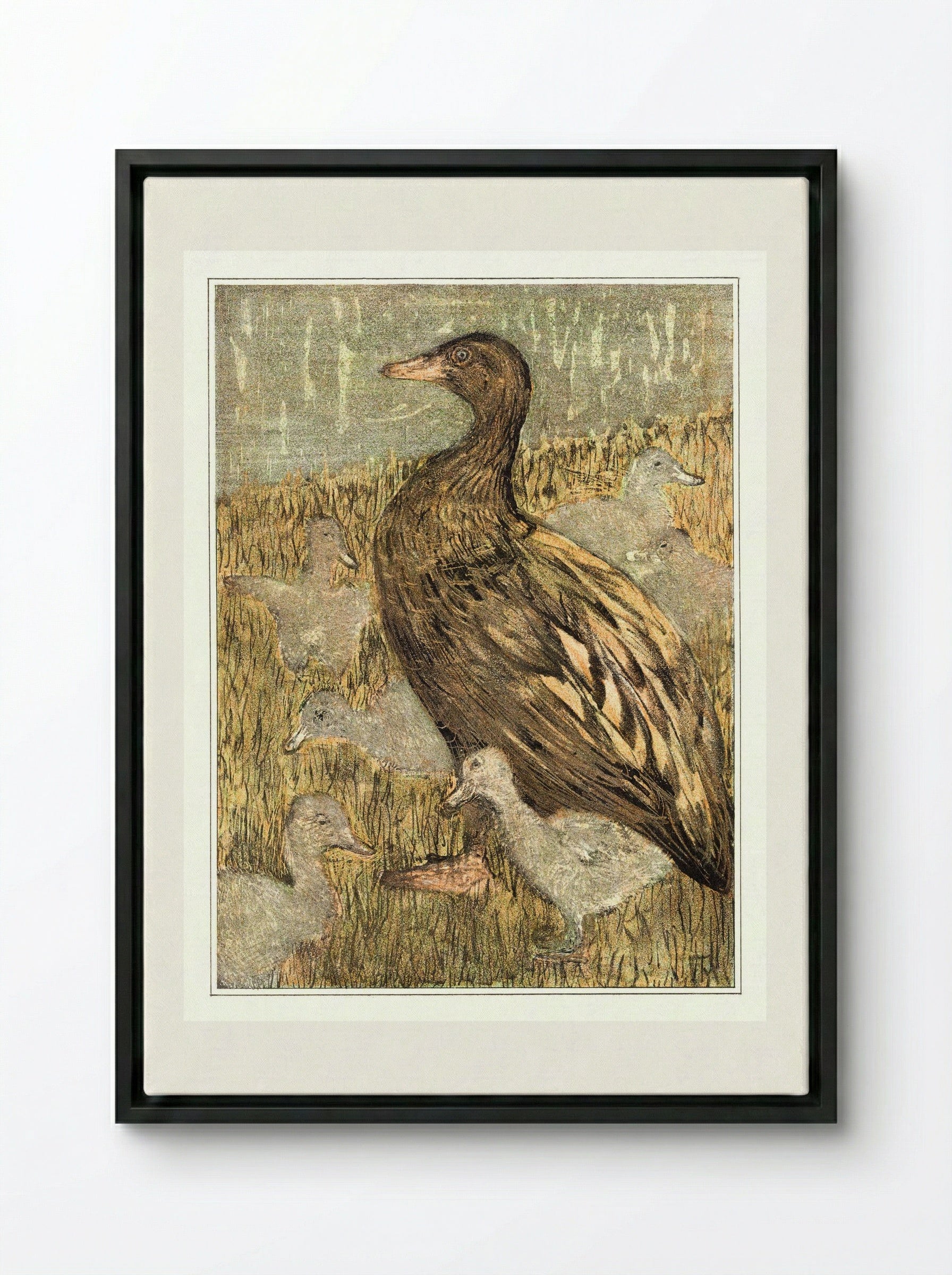 Duck with Ducklings by the Waterside - Theo van Hoytema - Framed Canvas Black