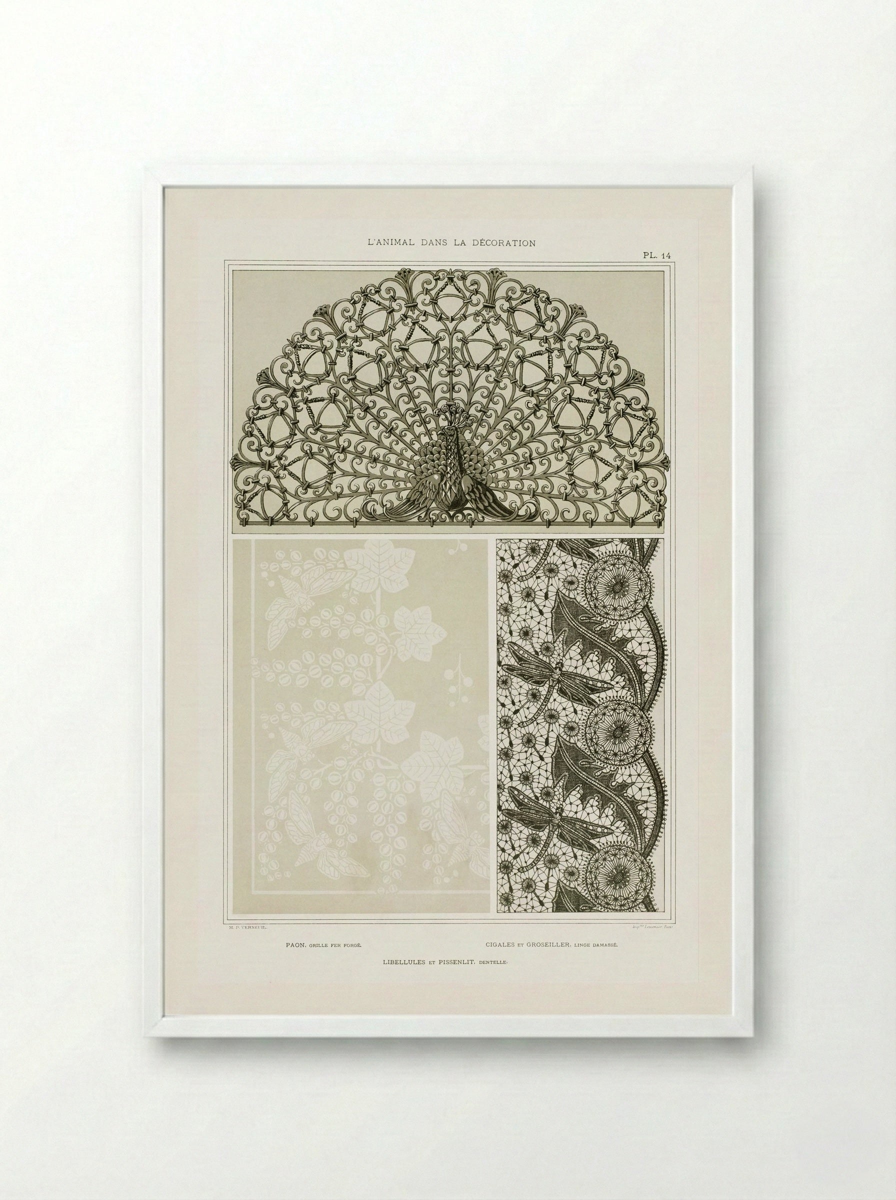L'Animal dans la Décoration, Plate 14 (Peacock, Cicadas, Dragonflies) - Maurice Pillard Verneuil - Framed Print White