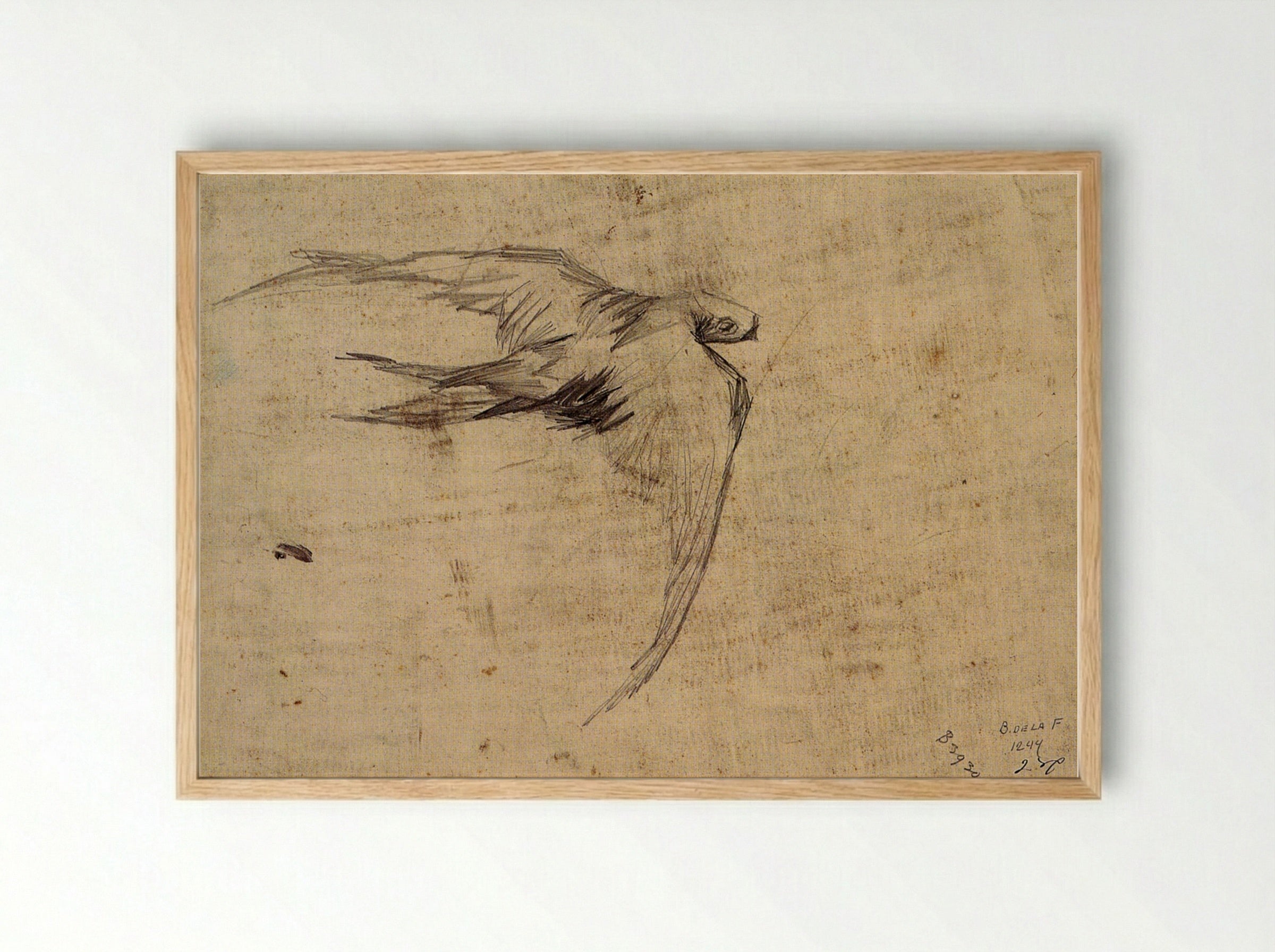 Study of a Swift in Flight - Leonardo da Vinci - Framed Print Wood
