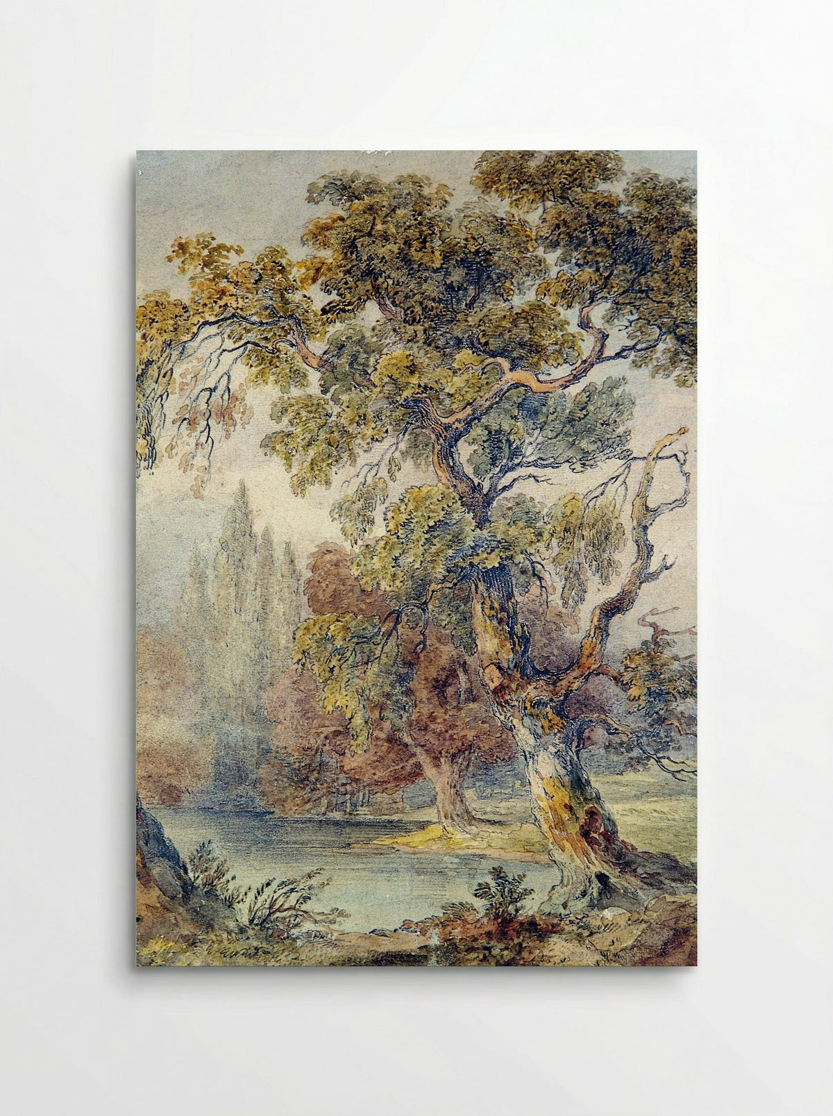 Trees and Pond - Fine Art Print - Poster